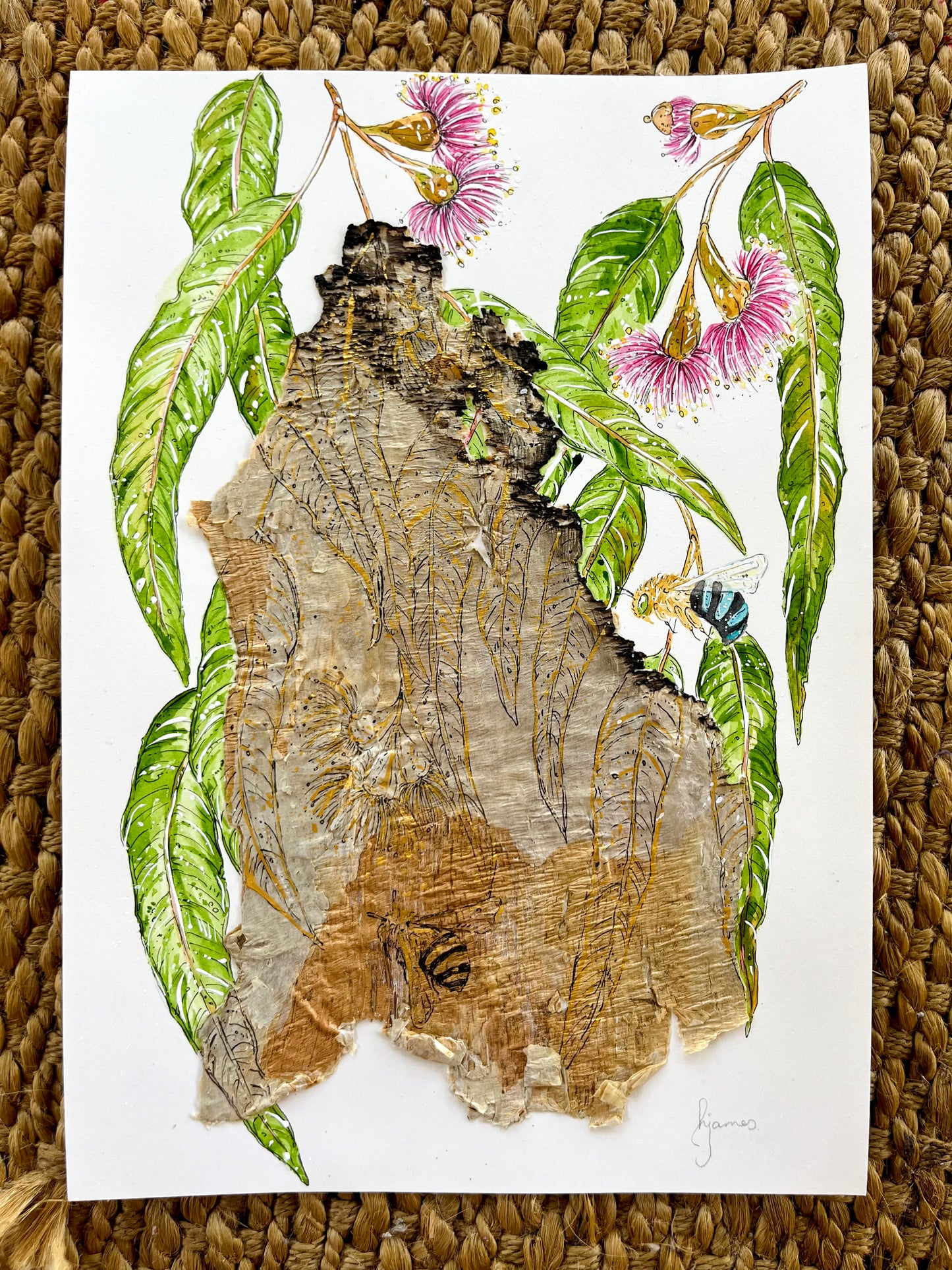 ‘The Nectar Keepers’ | Original Watercolour & Paperbark Artwork