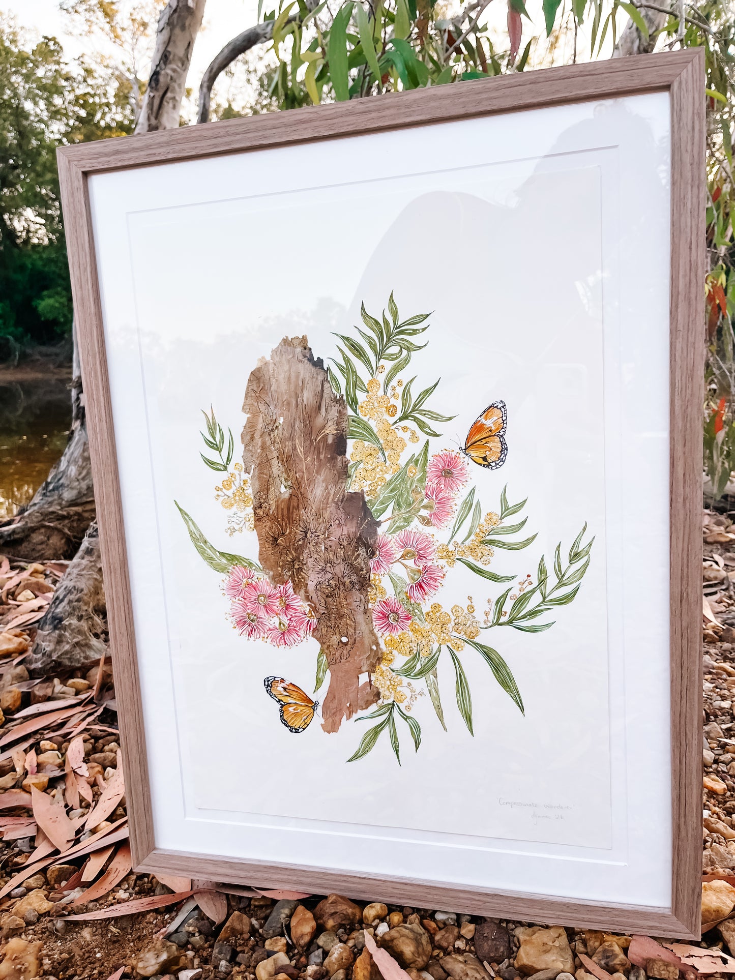 ‘Compassionate Wanderer’ on Australian Paperbark