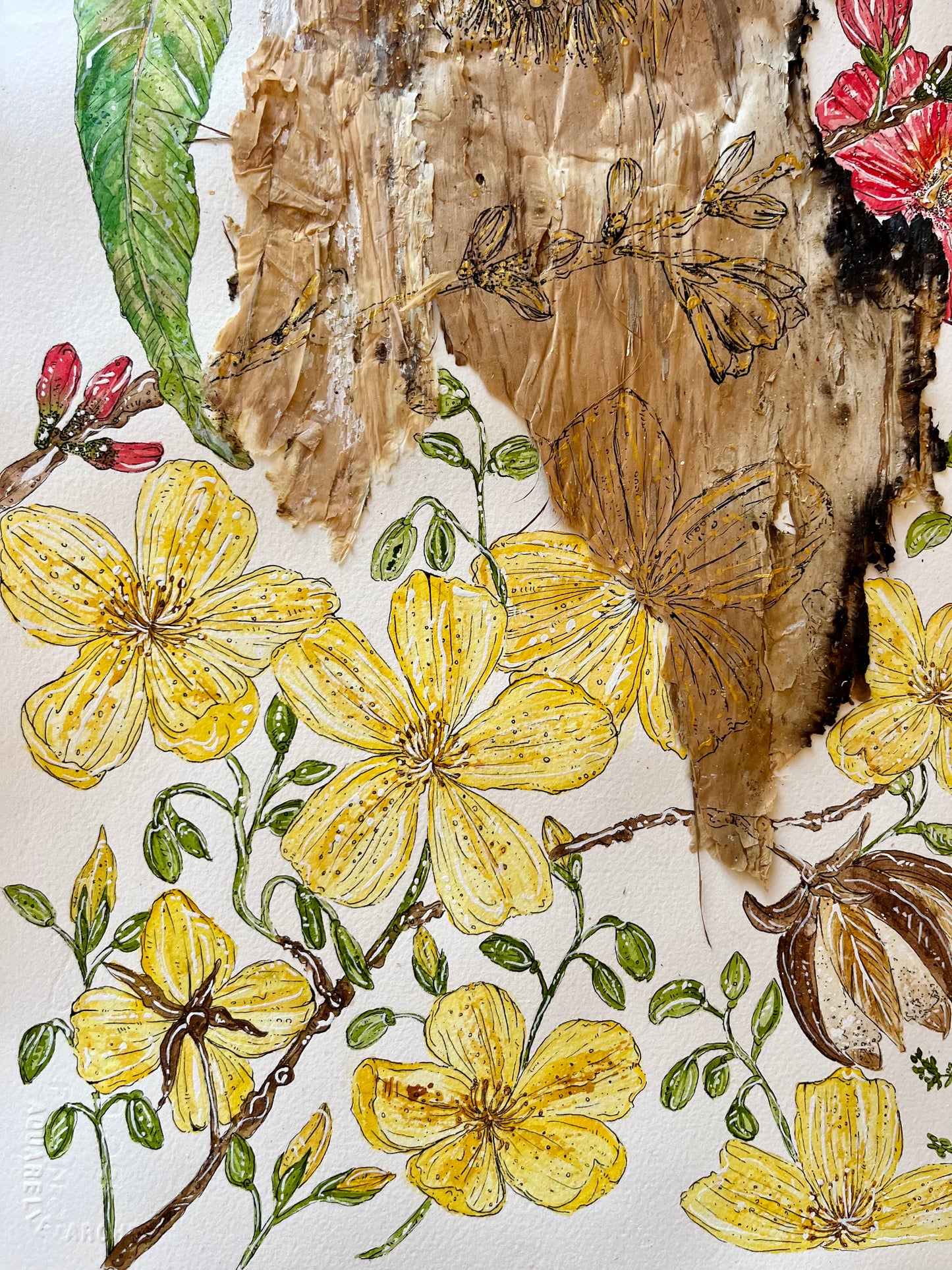 ‘Dry Season Blooms’ | Original Watercolour & Paperbark Artwork
