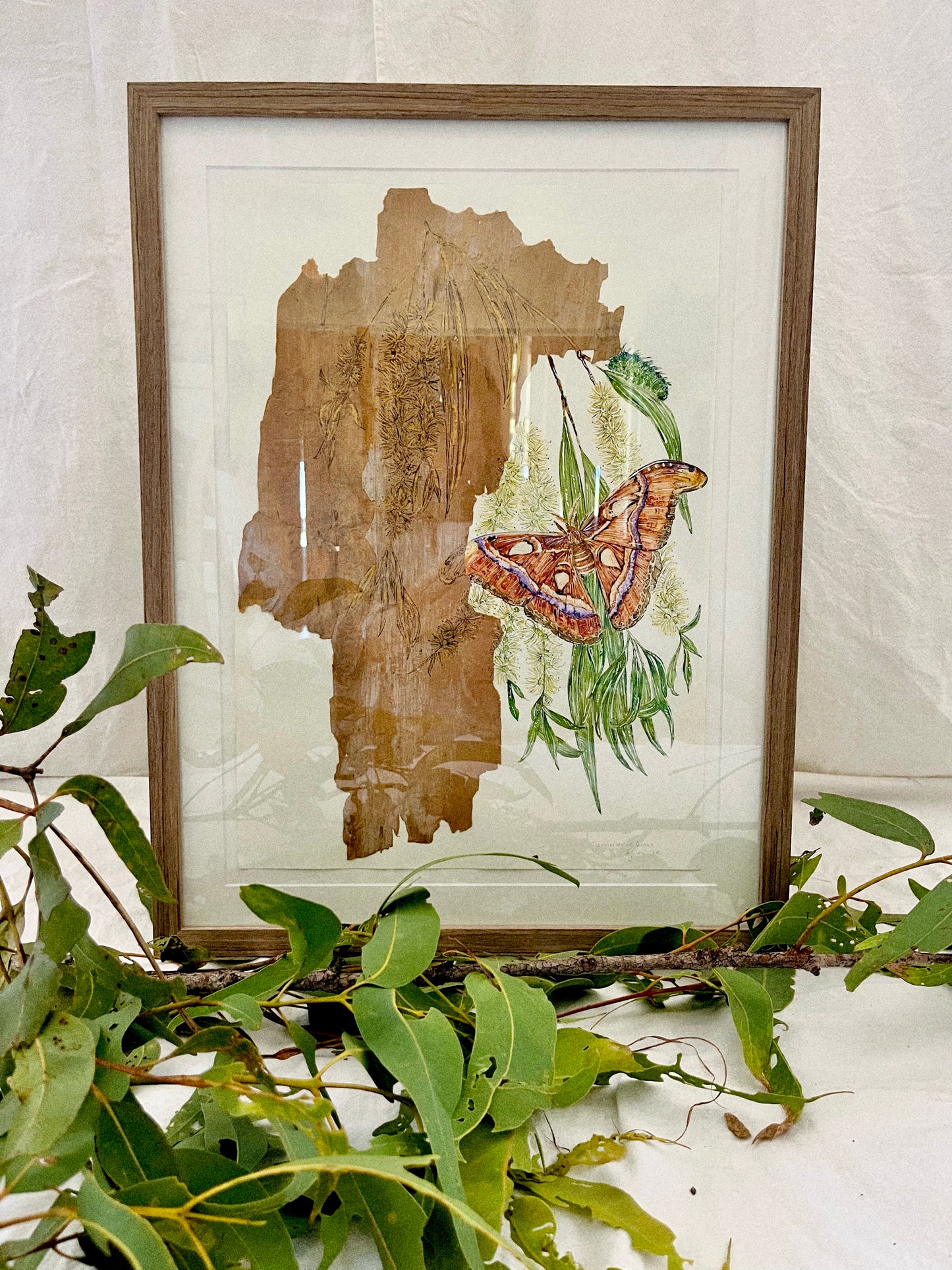 ‘Natural Transformations’ on Australian Paperbark
