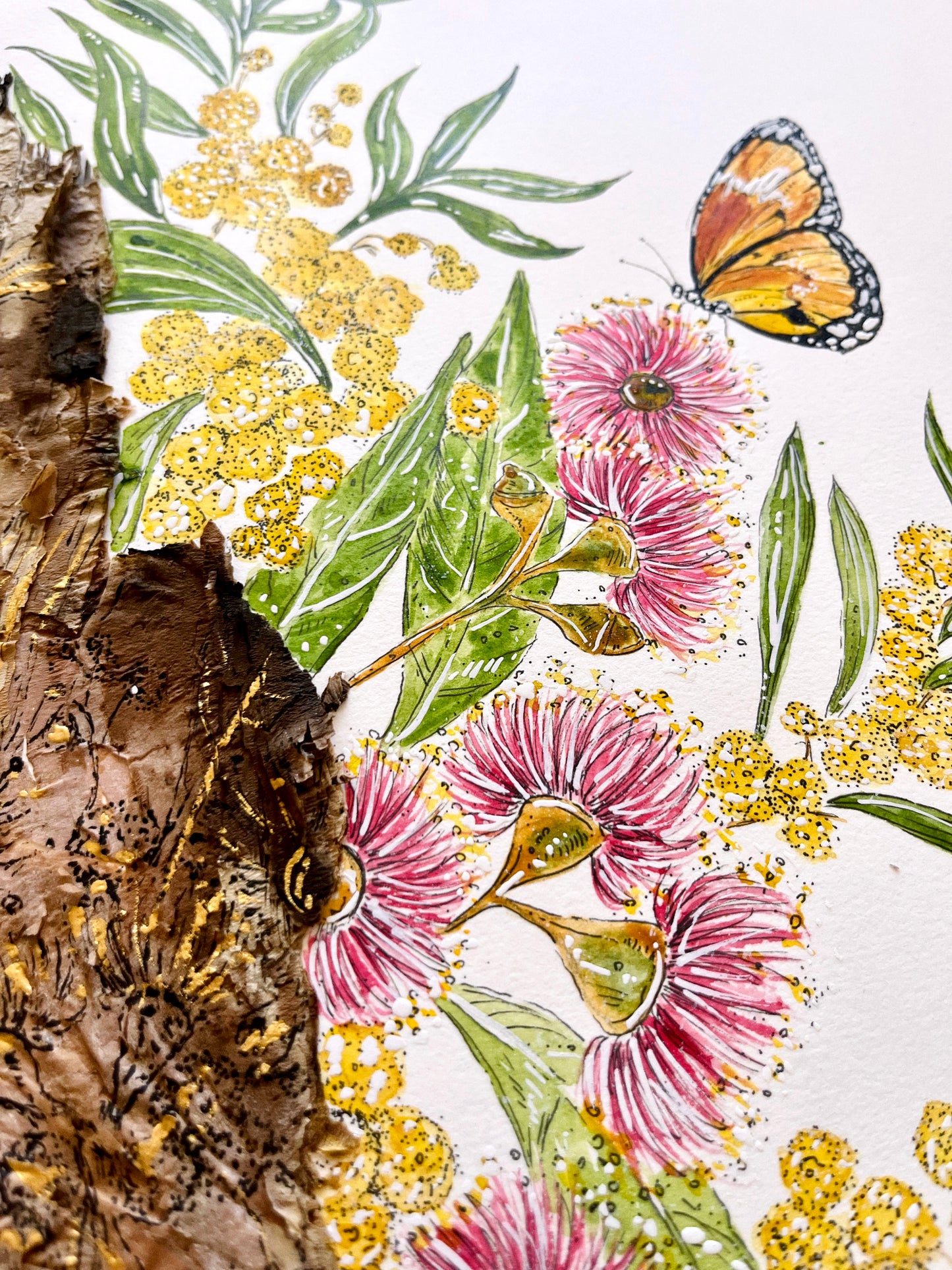 ‘Compassionate Wanderer’ on Australian Paperbark