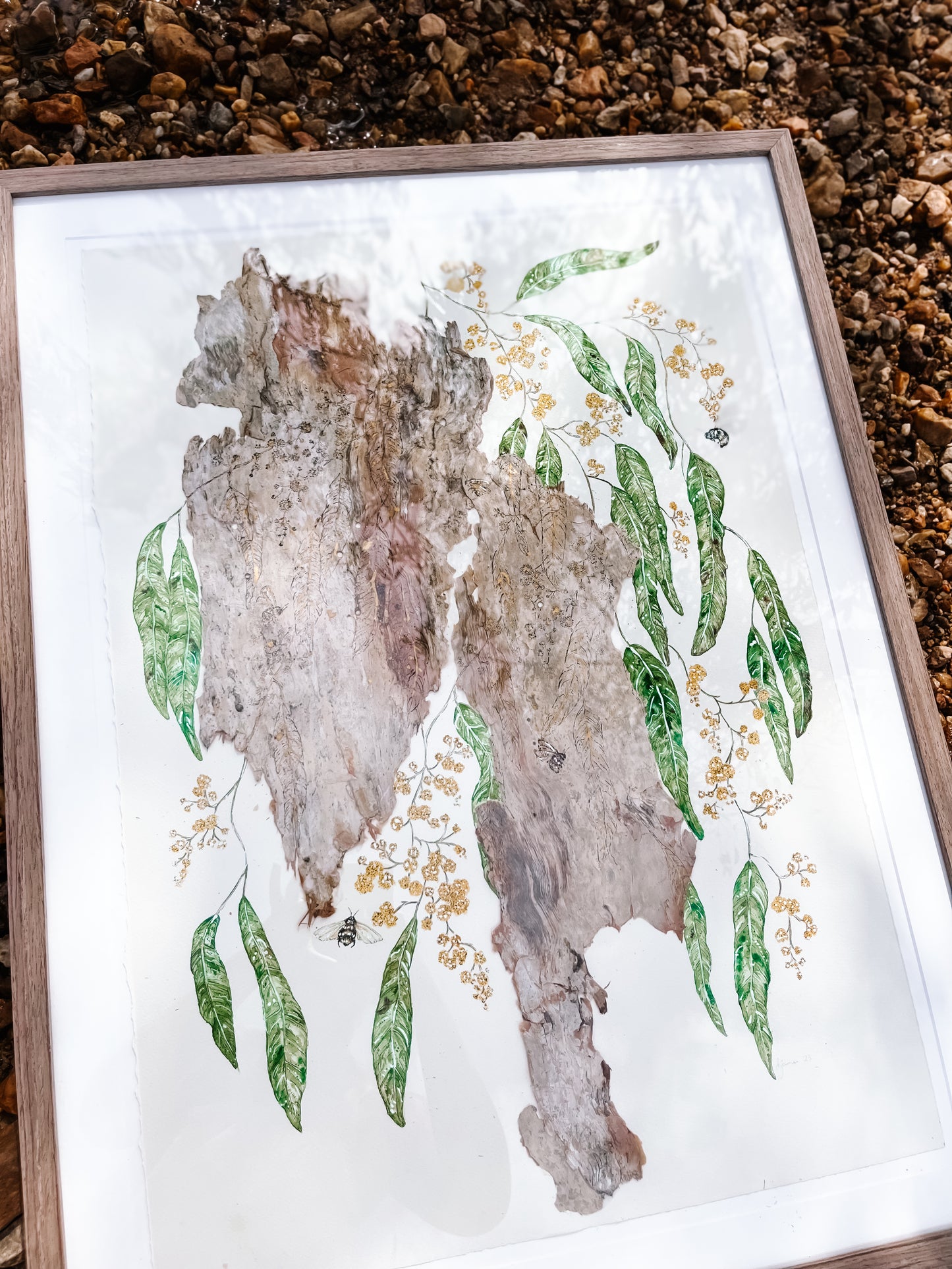 ‘Patience amongst the leaves’ on Australian Paperbark