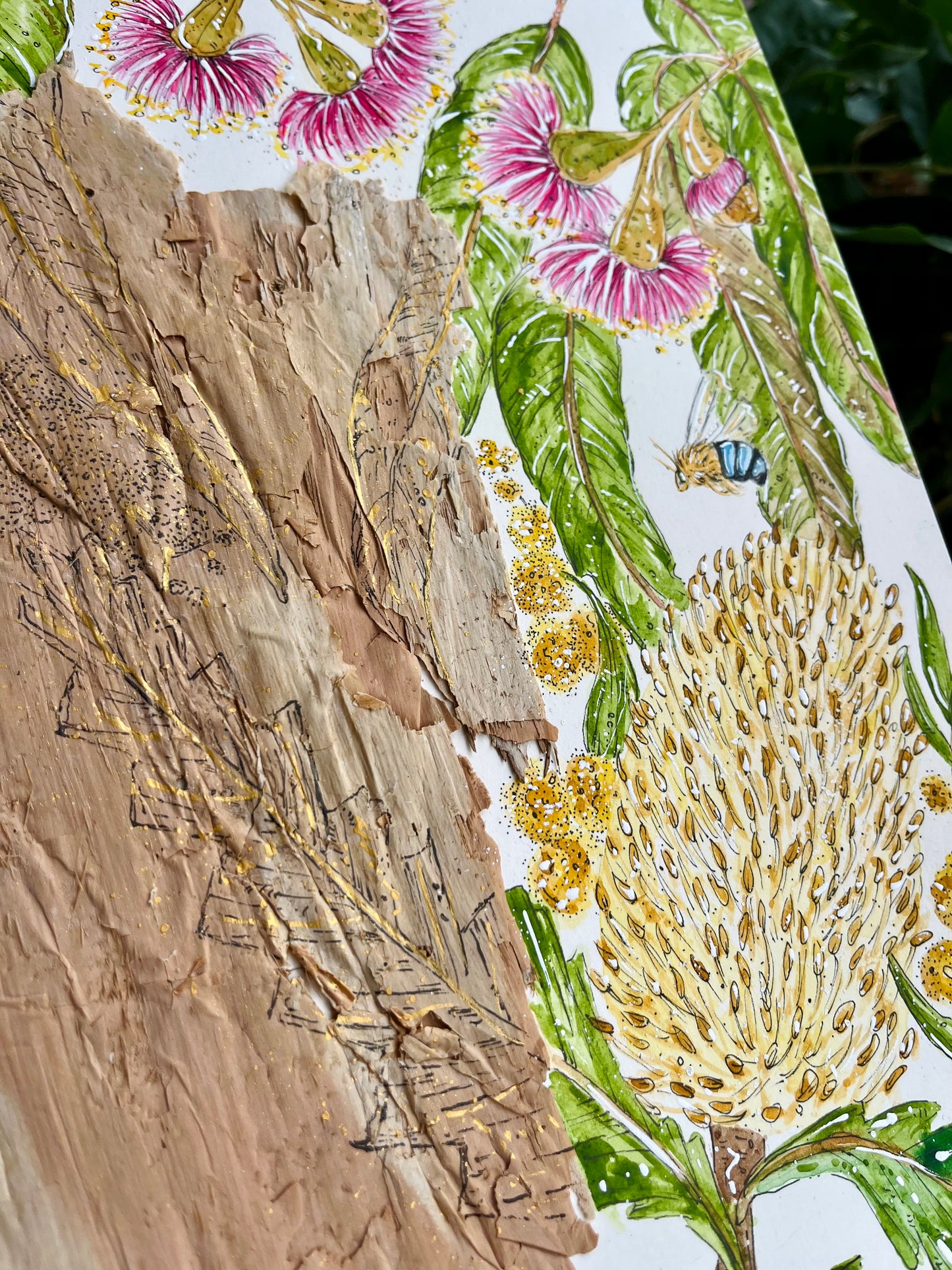 Amongst the leaves on Australian paperbark