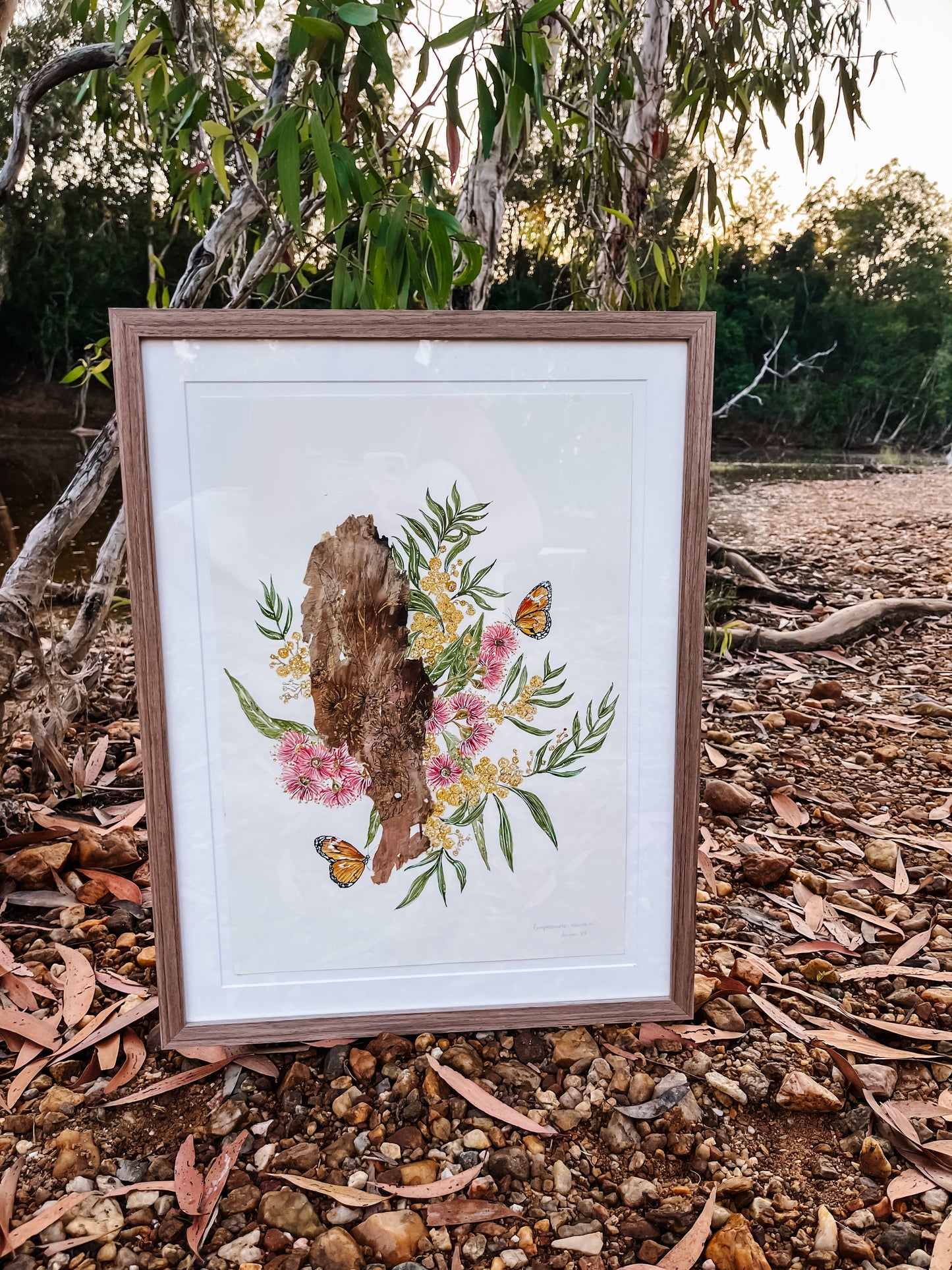 ‘Compassionate Wanderer’ on Australian Paperbark