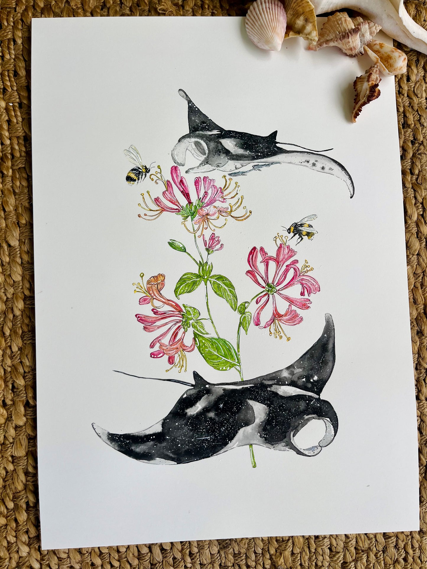 'Natural Abundance' Manta Ray & Honeysuckle | Original Watercolour Artwork