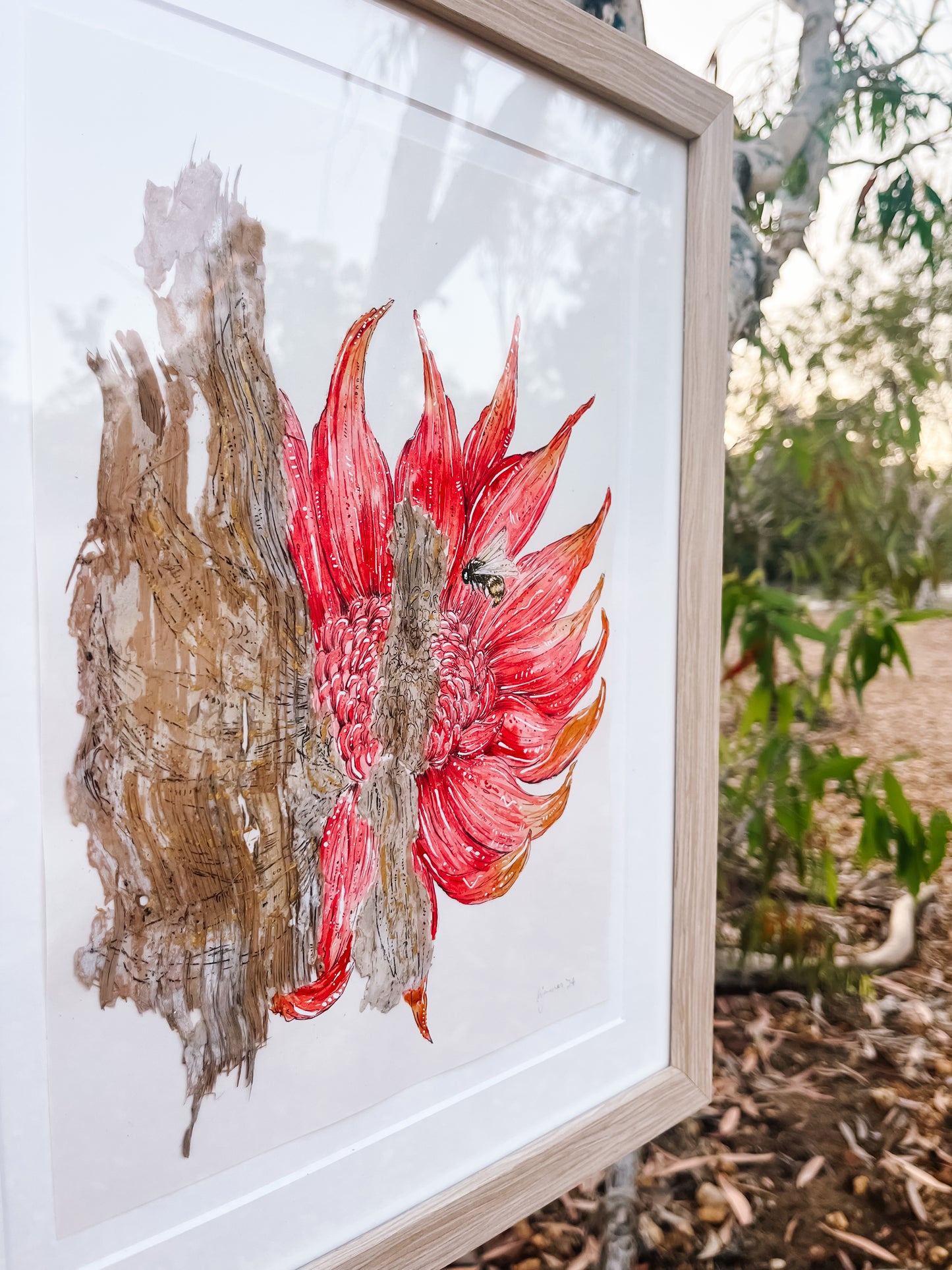 Waratah & Australian honey bee on Australian Paperbark