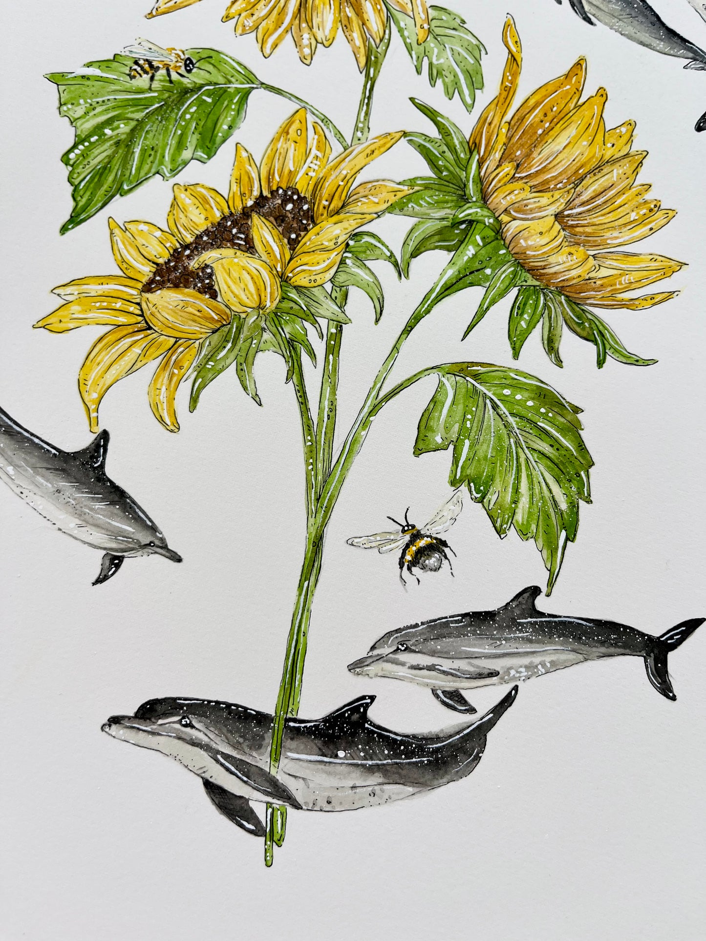 'Swim Toward the Sun' Dolphin & Sunflower | Original Watercolour Artwork
