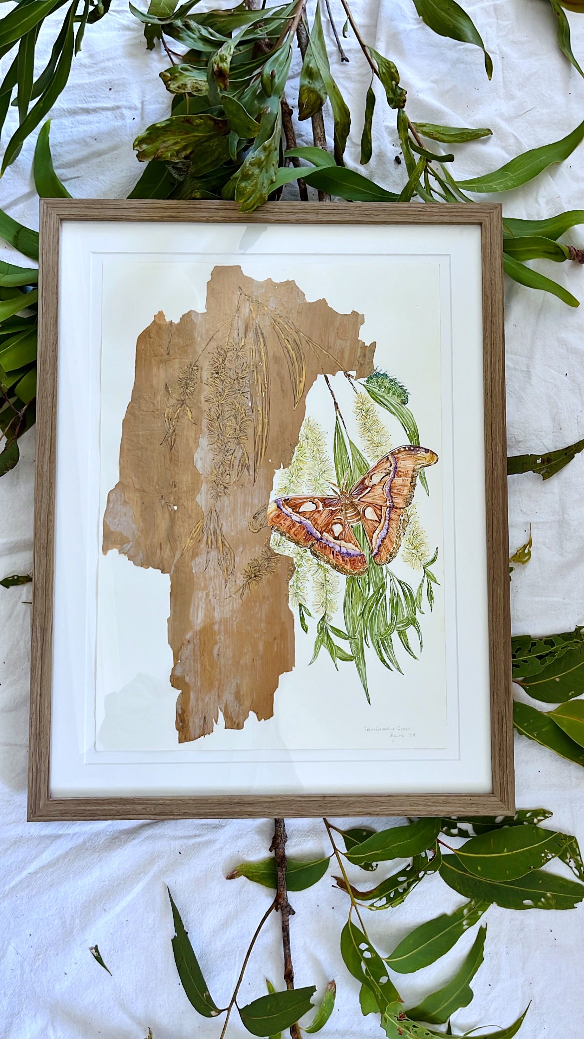 ‘Natural Transformations’ on Australian Paperbark