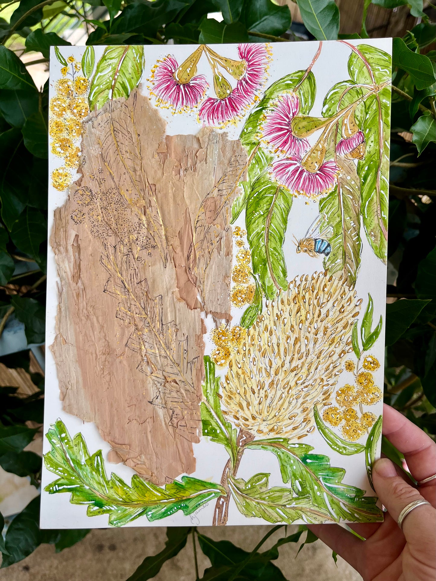 Amongst the leaves on Australian paperbark