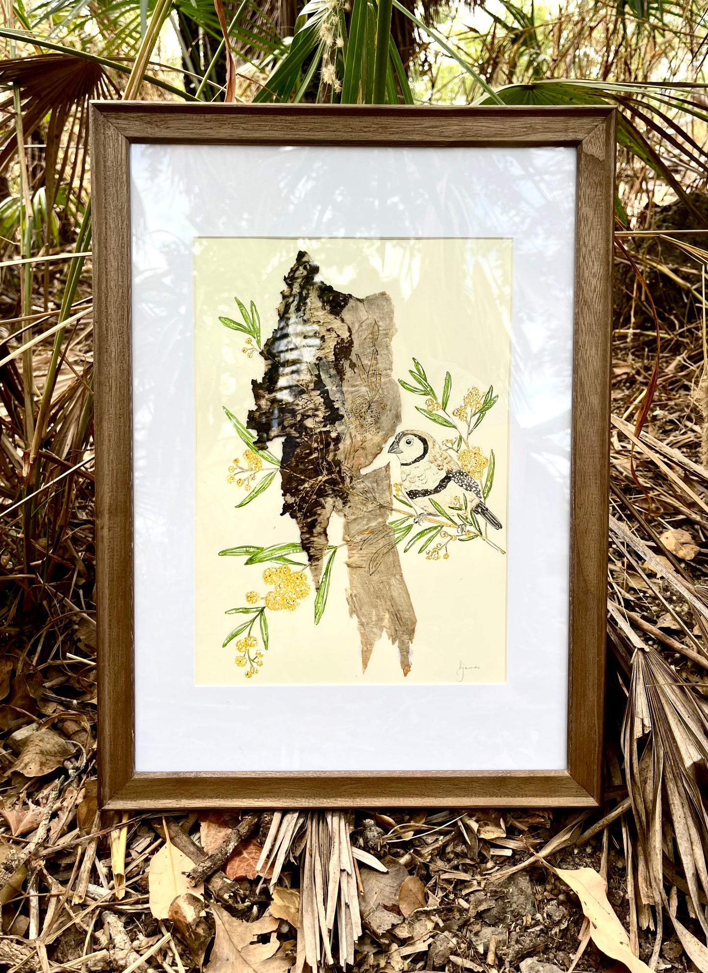 ‘Whispers in the Wattle’ | Original Watercolour & Paperbark Artwork