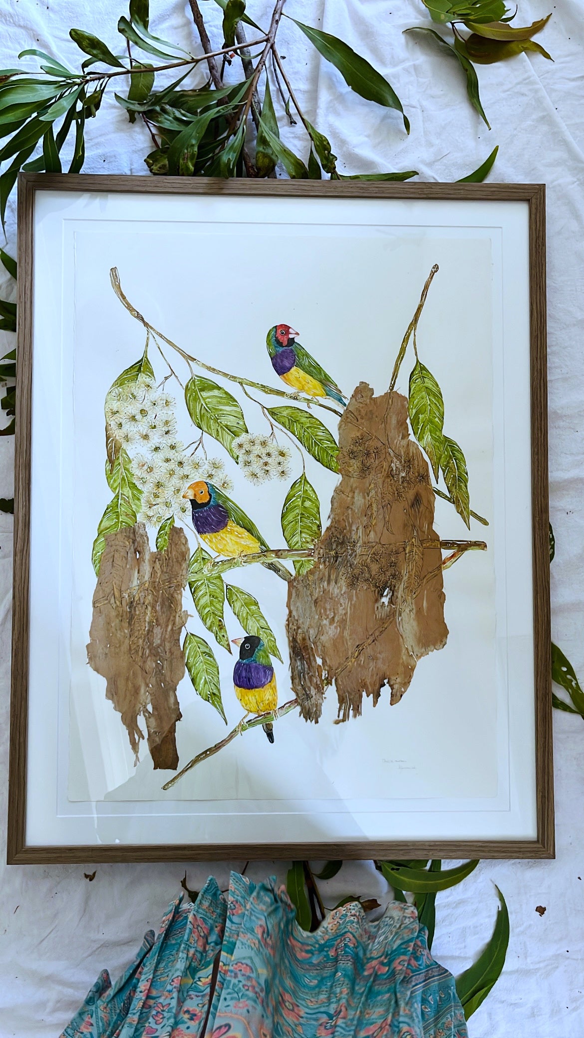 ‘She's a Rainbow’ on Australian Paperbark