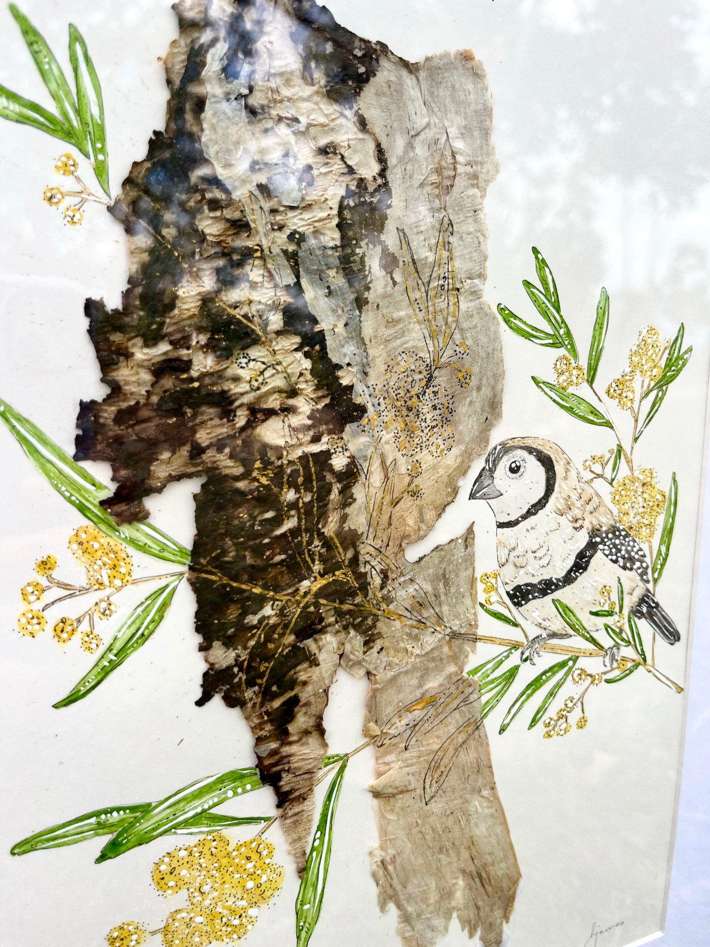 ‘Whispers in the Wattle’ | Original Watercolour & Paperbark Artwork