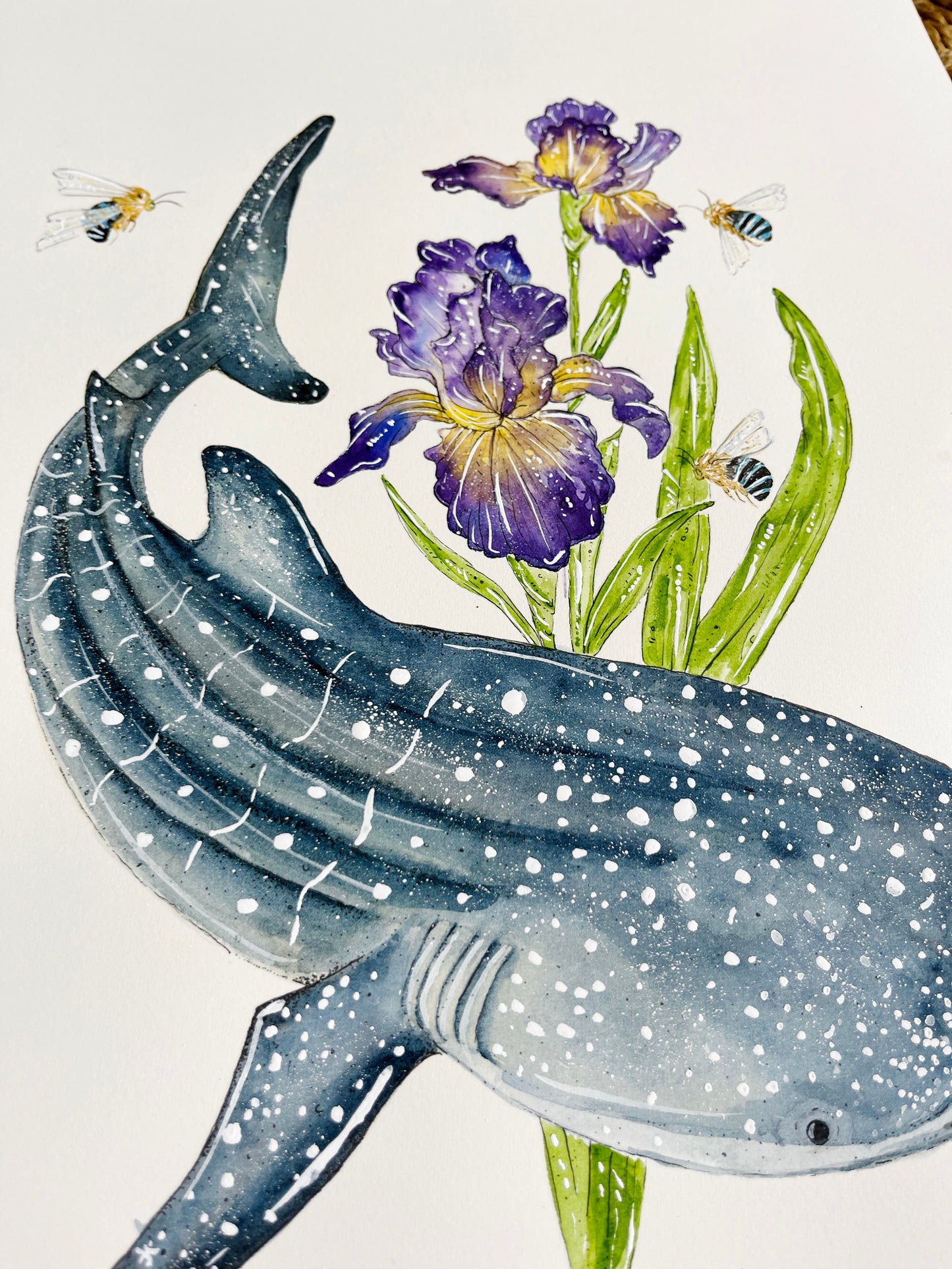 'Depths of Wisdom' Whaleshark & Iris | Original Watercolour Artwork