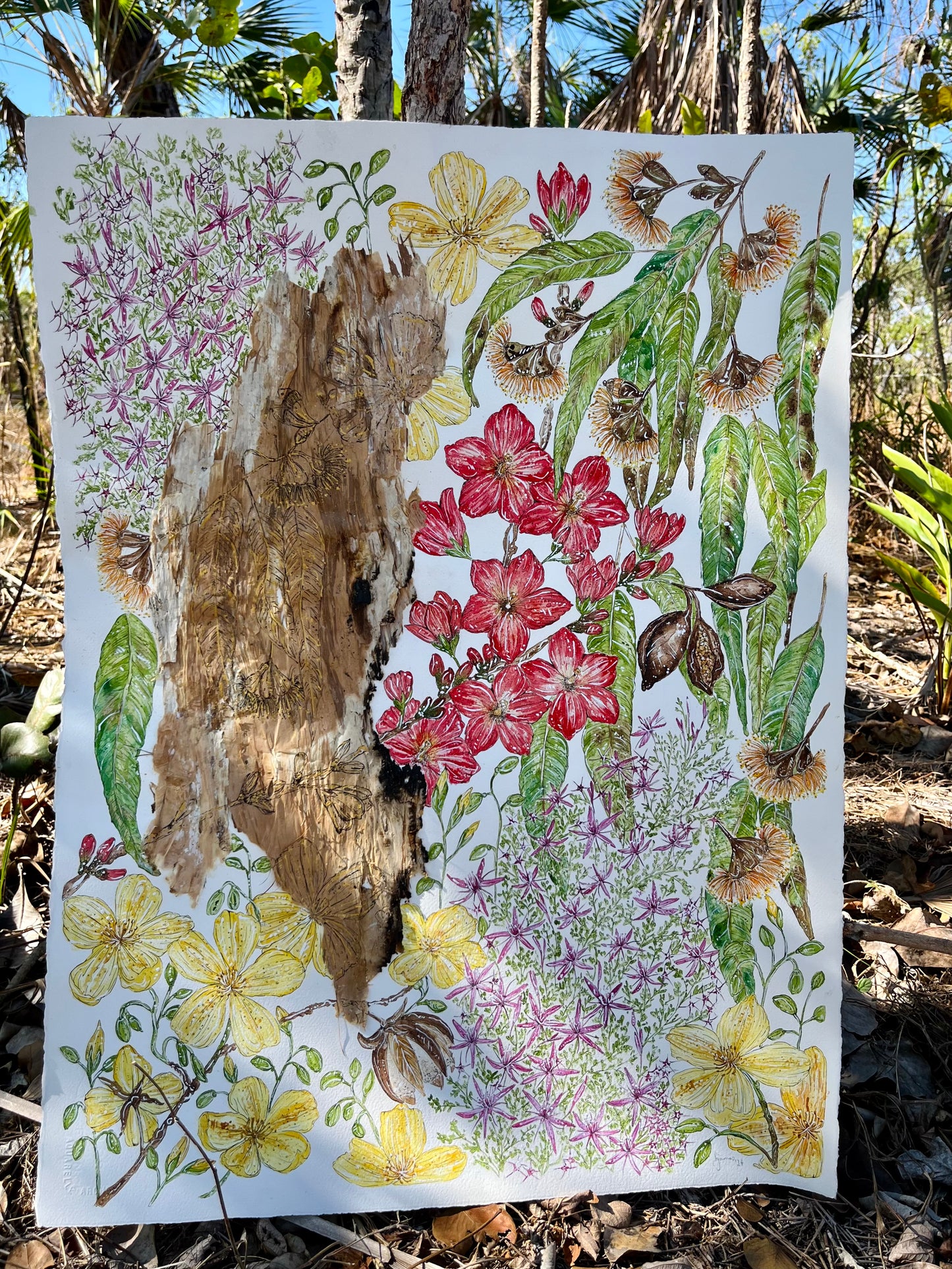 ‘Dry Season Blooms’ | Original Watercolour & Paperbark Artwork