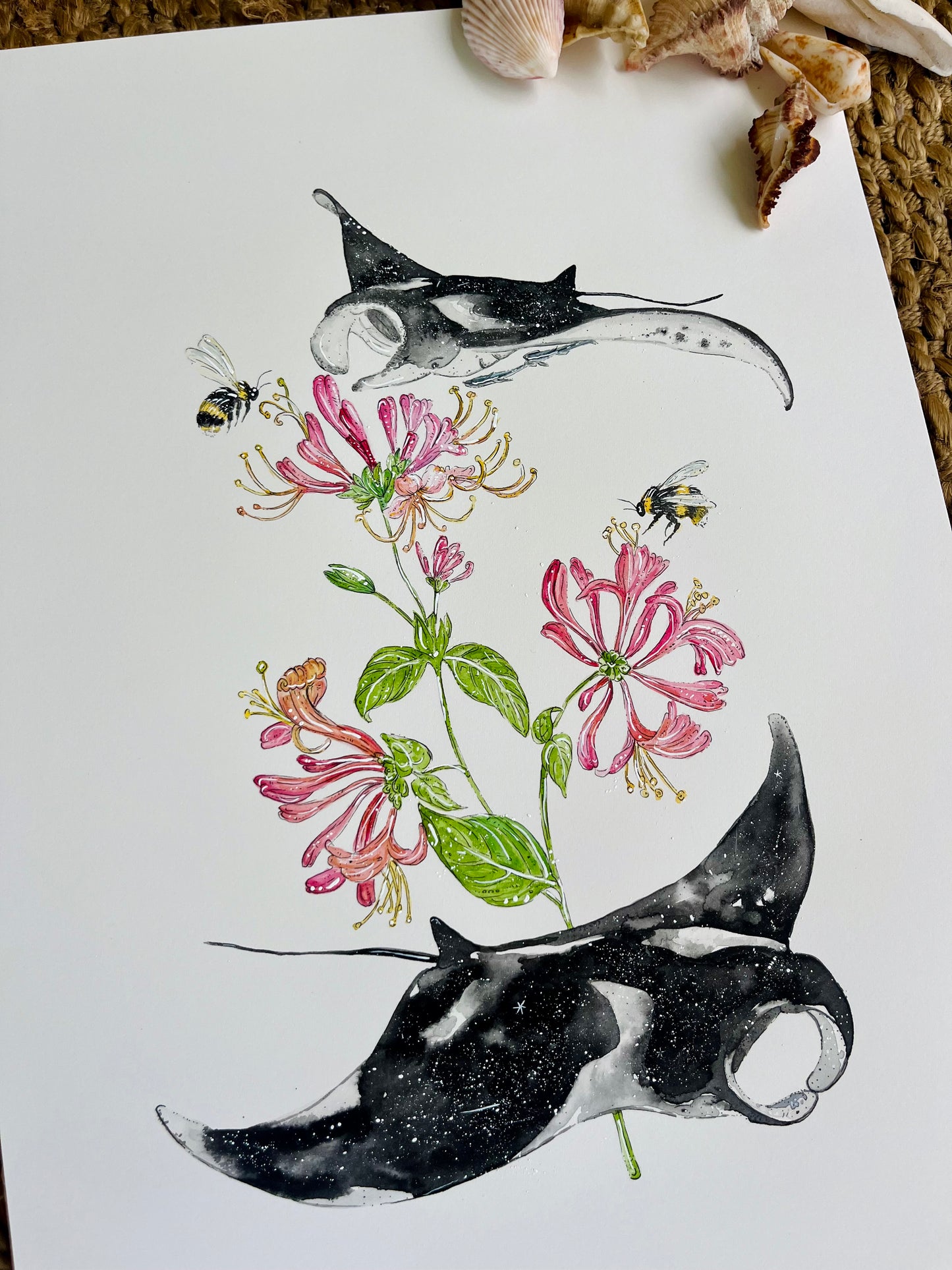 'Natural Abundance' Manta Ray & Honeysuckle | Original Watercolour Artwork