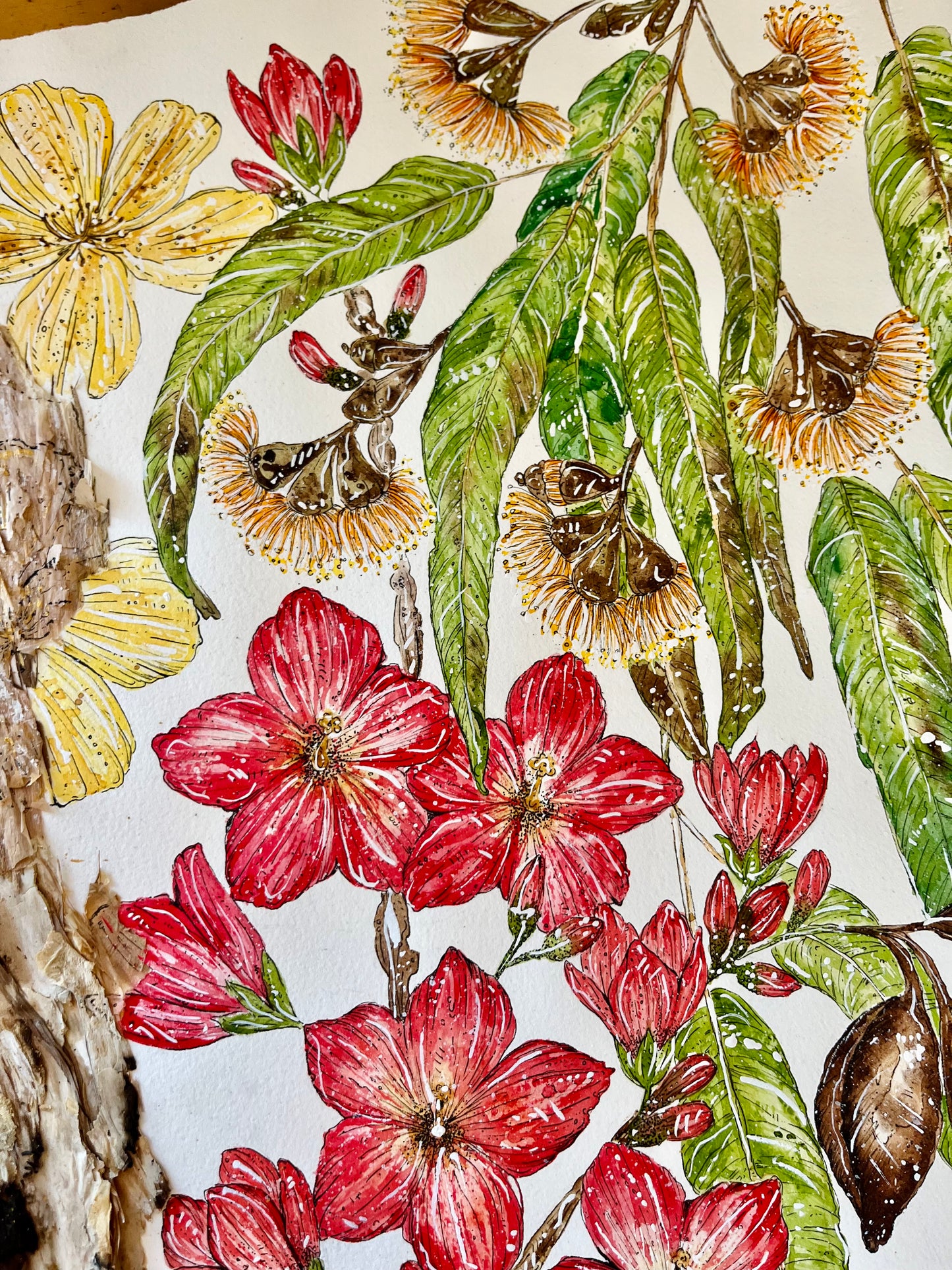 ‘Dry Season Blooms’ | Original Watercolour & Paperbark Artwork