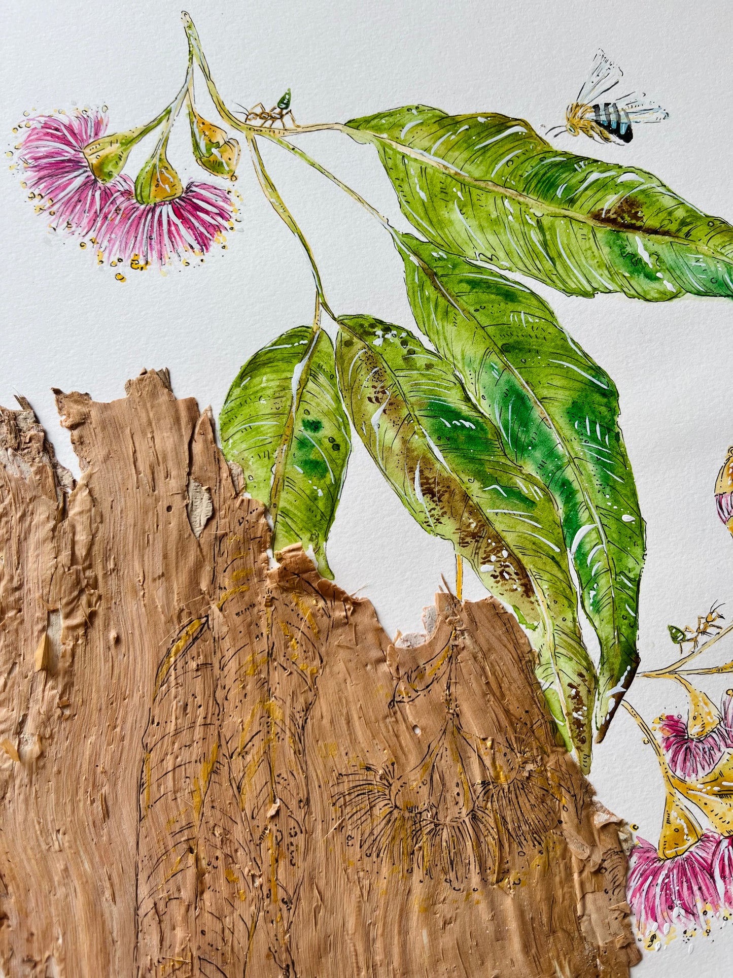 ‘Polite Pollination’ on Australian Paperbark