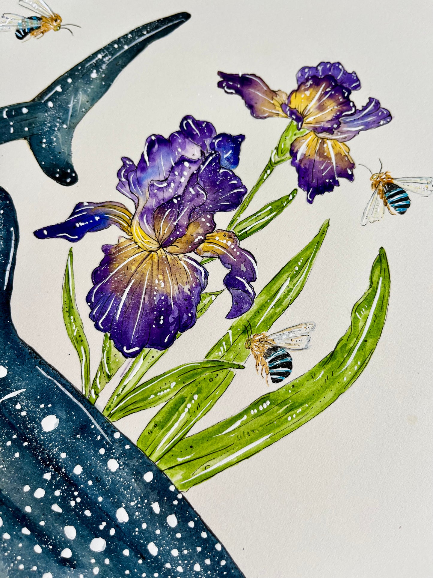 'Depths of Wisdom' Whaleshark & Iris | Original Watercolour Artwork