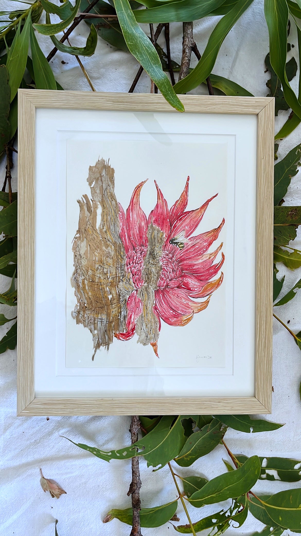 Waratah & Australian honey bee on Australian Paperbark
