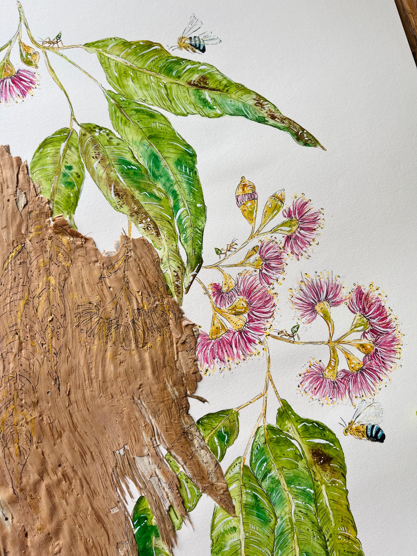 ‘Polite Pollination’ on Australian Paperbark