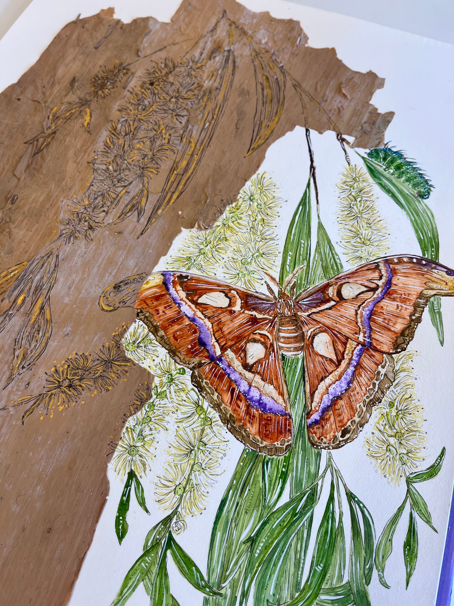 ‘Natural Transformations’ on Australian Paperbark