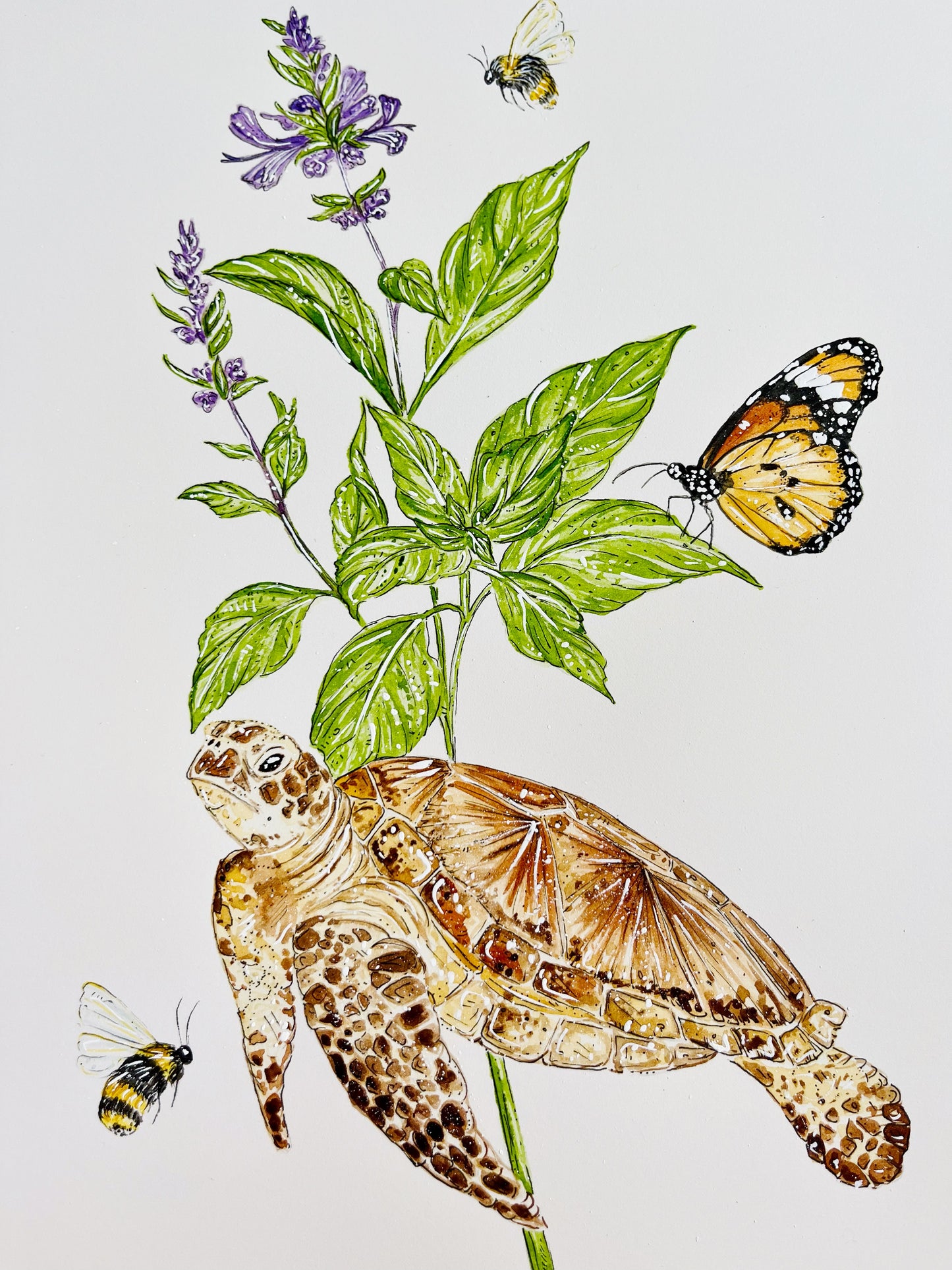 'Humble Abode' Sea Turtle & Tulsi | Original Watercolor Artwork