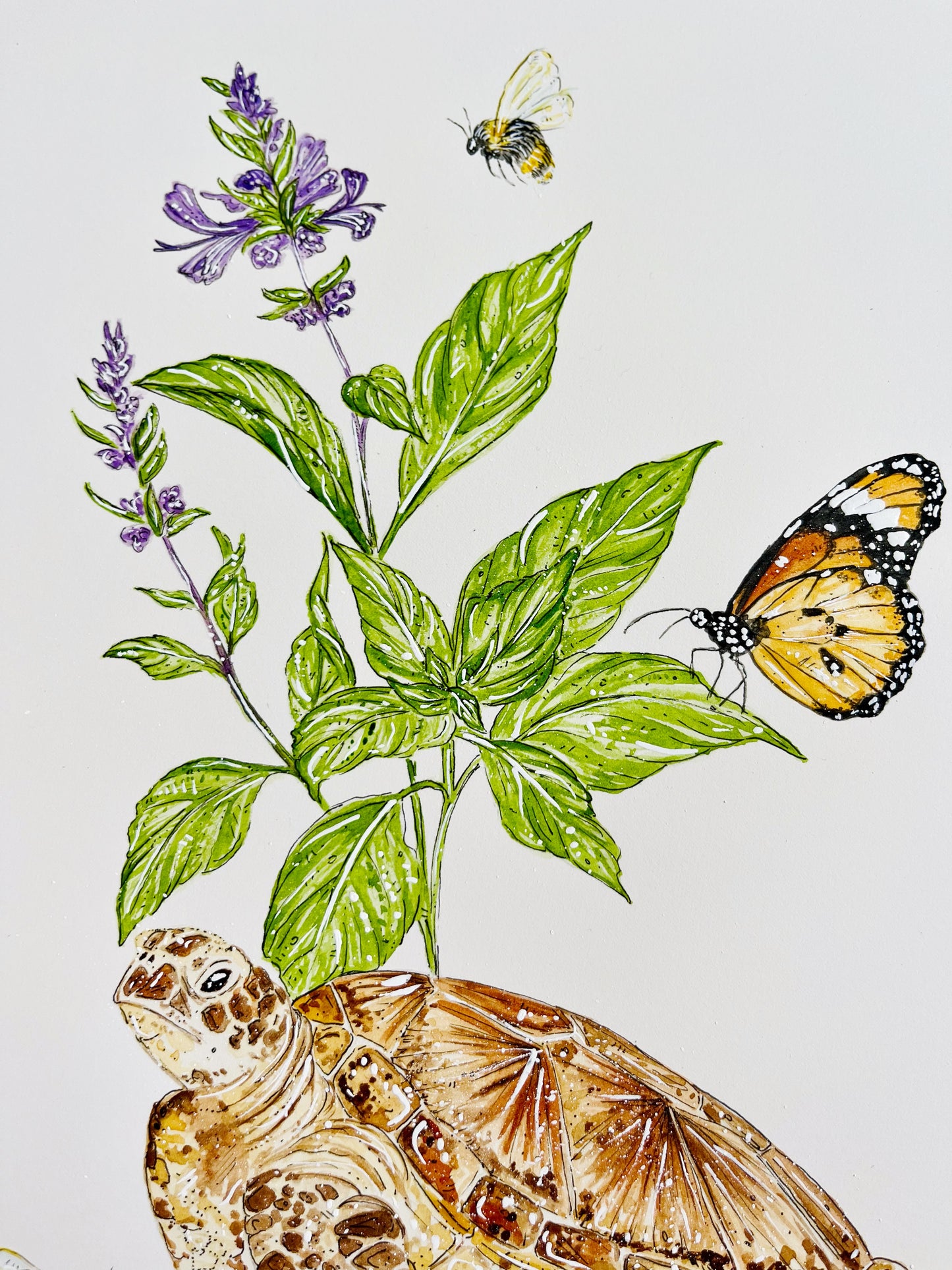 'Humble Abode' Sea Turtle & Tulsi | Original Watercolor Artwork