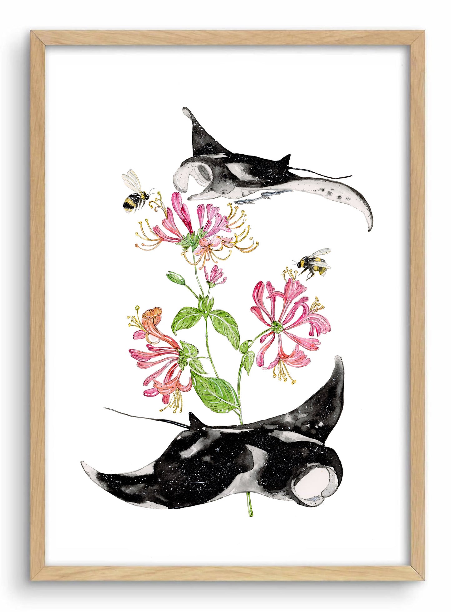 ‘Natural Abundance' Manta ray & Honeysuckle | Watercolour Art print