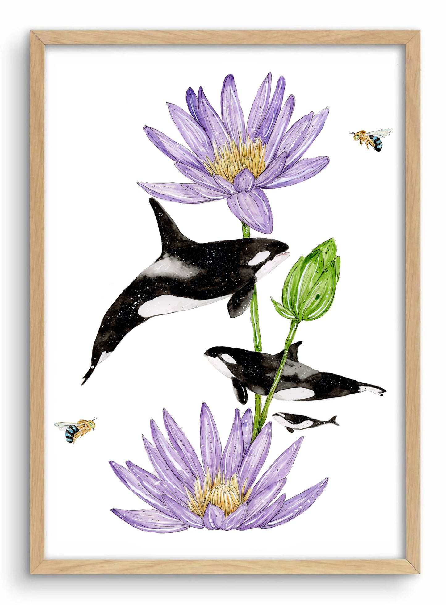 'Echoes of Awakening' Orca & Blue Lotus | Watercolour Art print