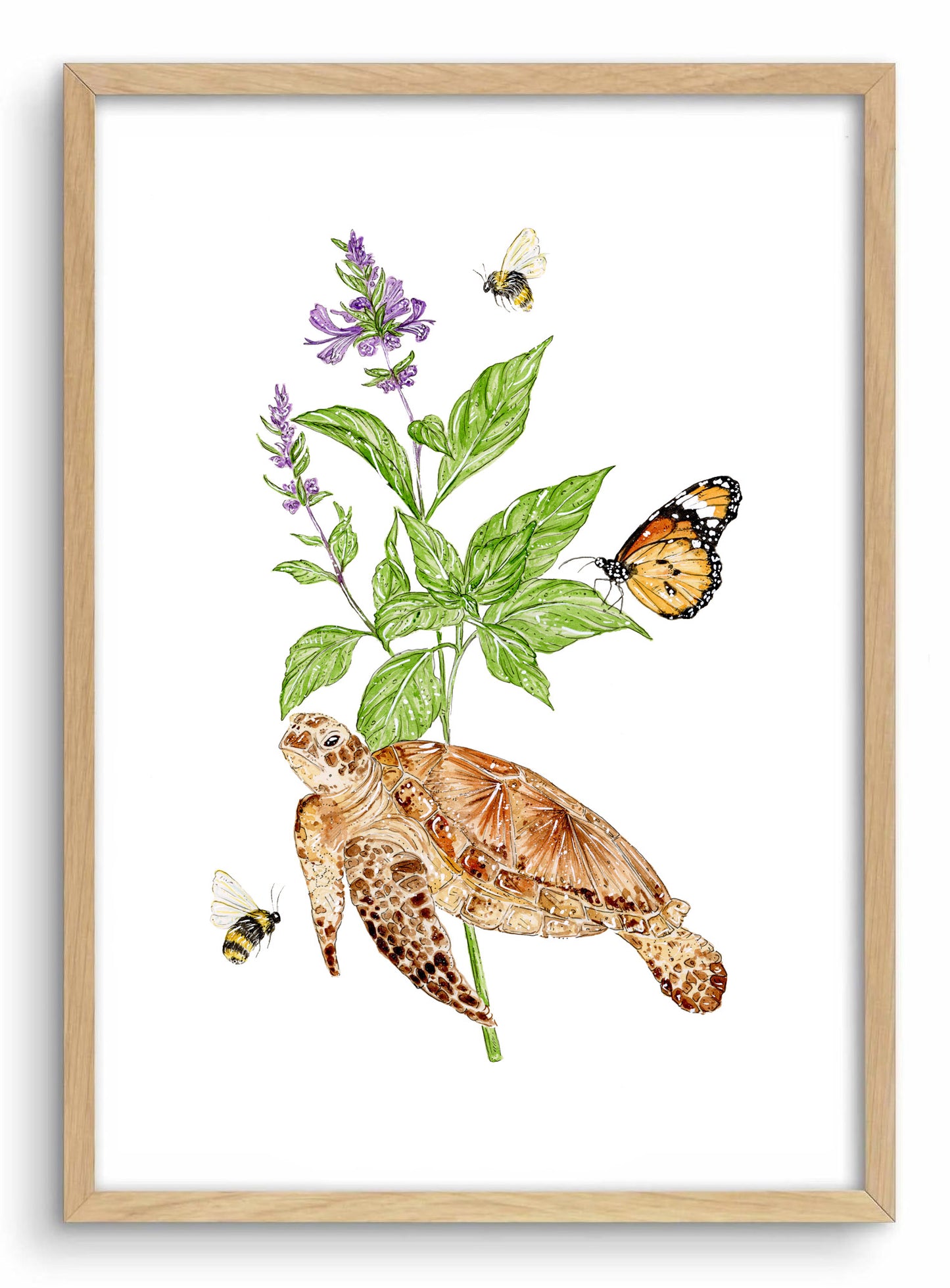'Humble Abode' Sea Turtle & Tulsi | Watercolour Art print
