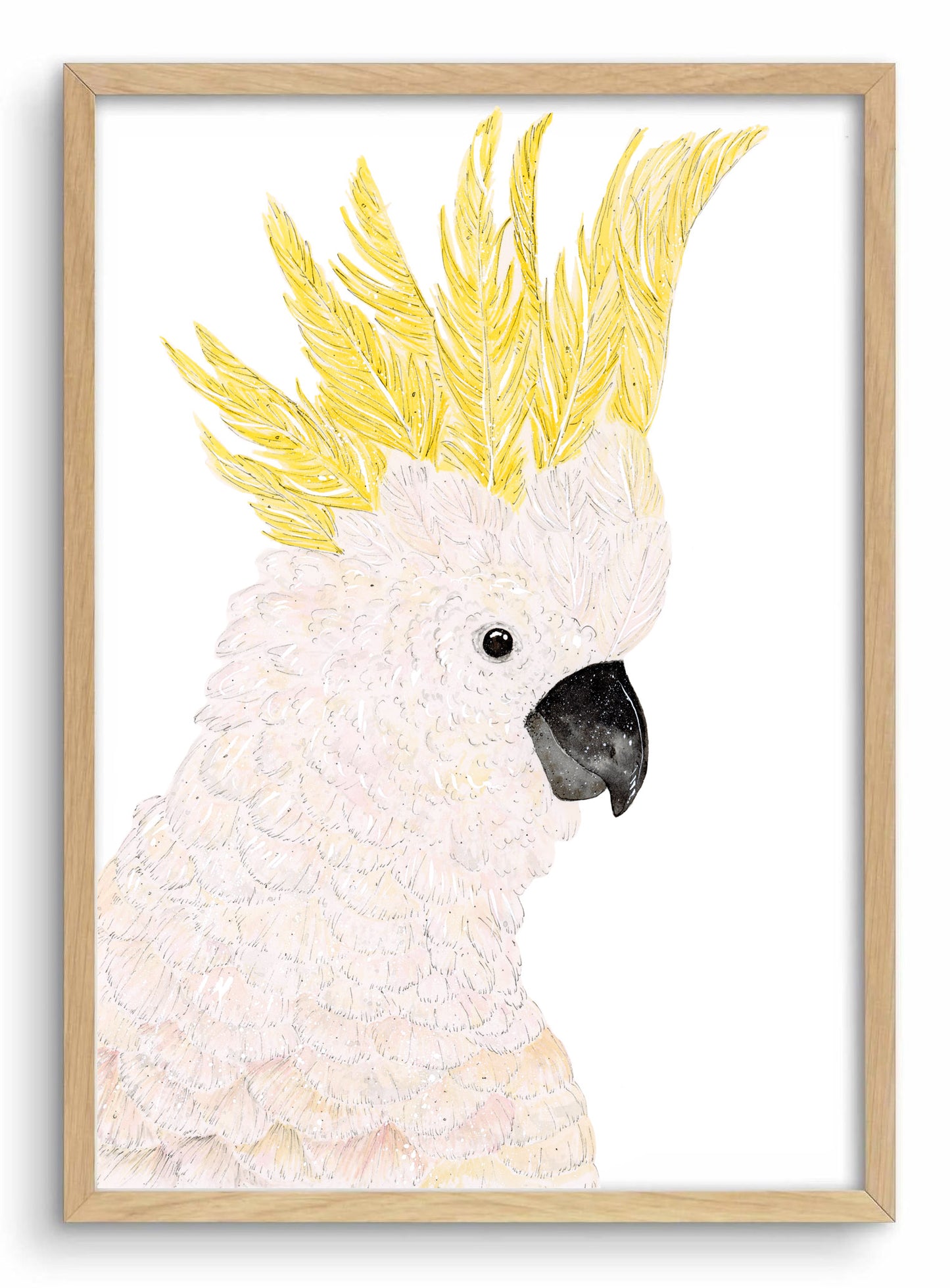 Sulfur crested cockatoo water colour art print, Australian bird