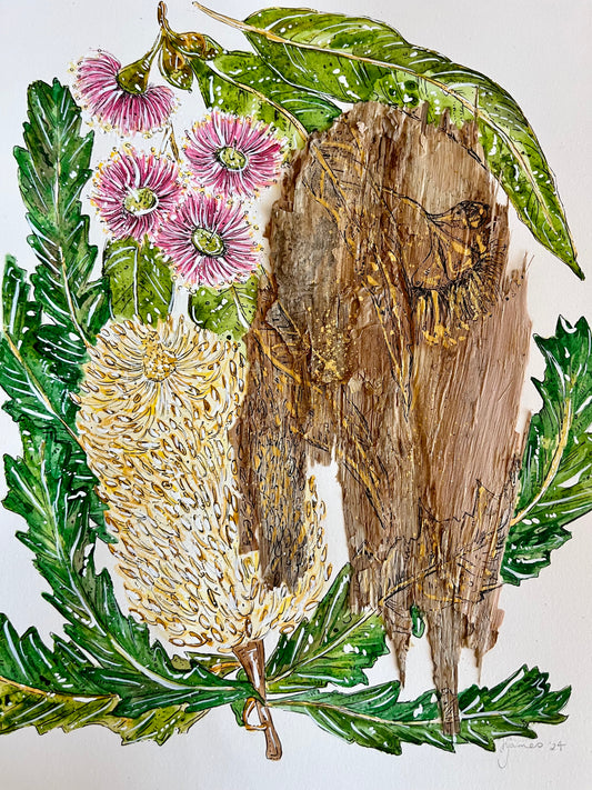 Banksia and Eucalyptus on Australian Paperbark