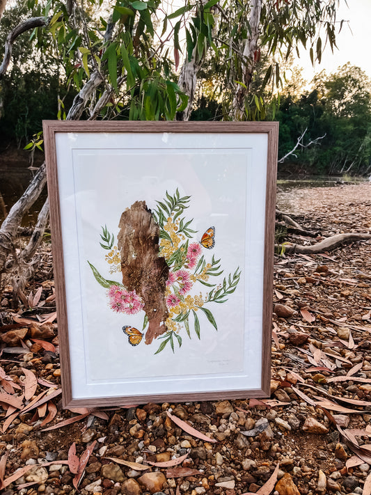 ‘Compassionate Wanderer’ on Australian Paperbark