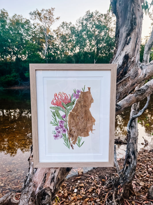 Geraldton Wax & QLD Waratah on Australian Paperbark