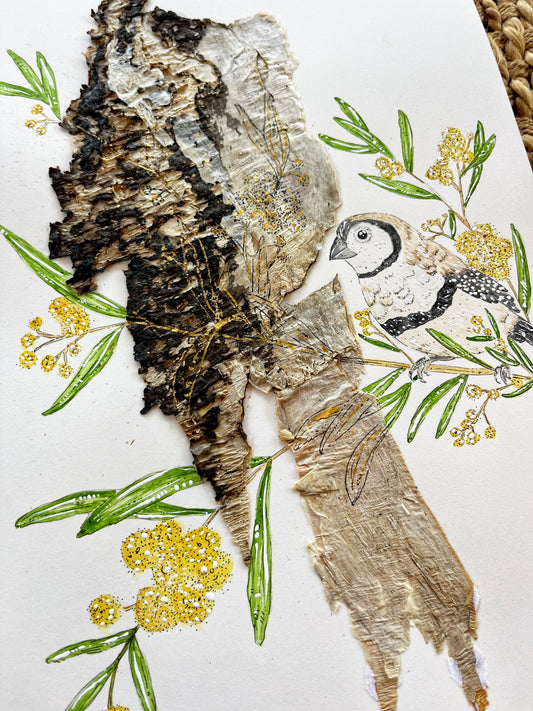 ‘Whispers in the Wattle’ | Original Watercolour & Paperbark Artwork