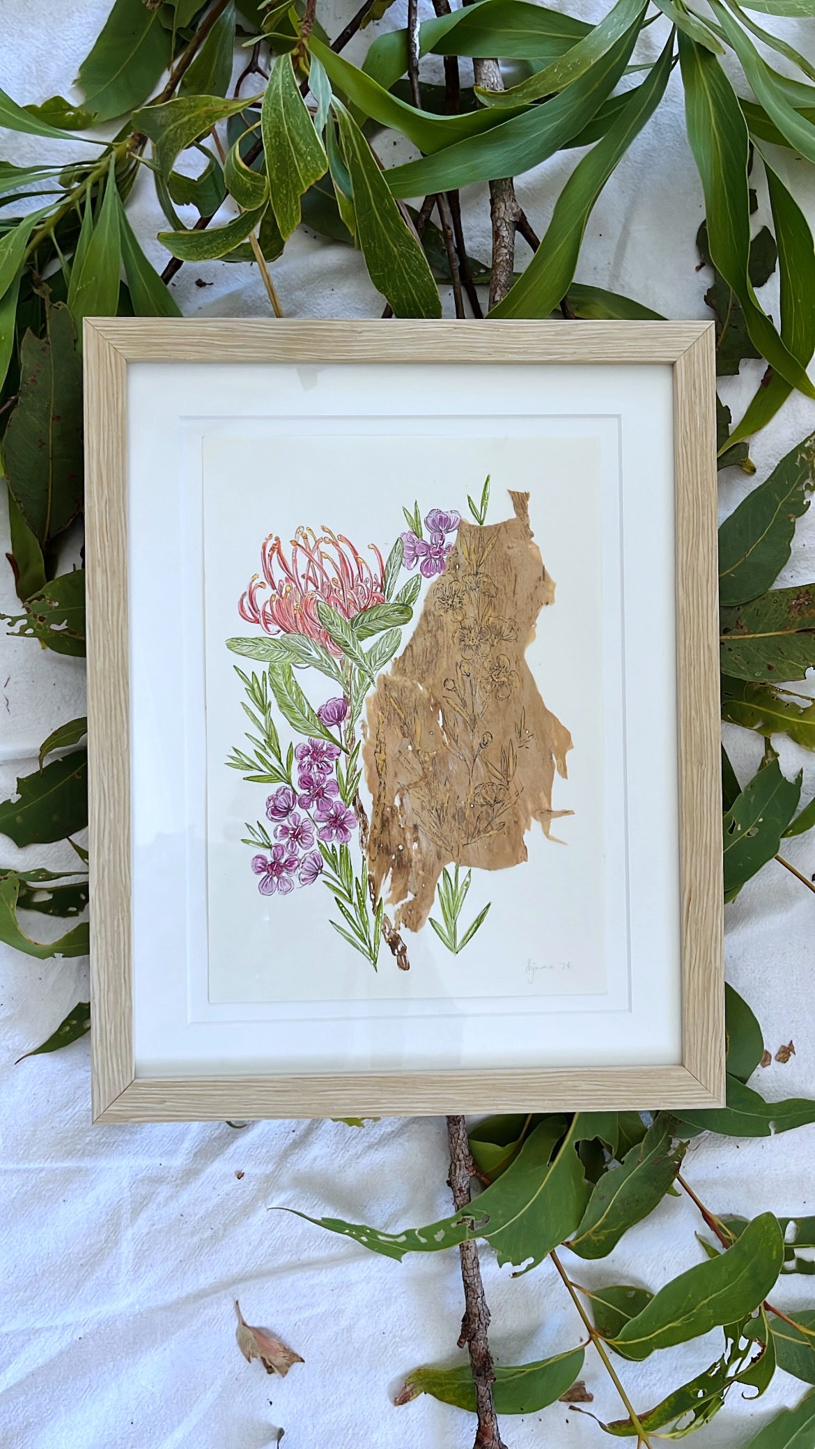 Geraldton Wax & QLD Waratah on Australian Paperbark