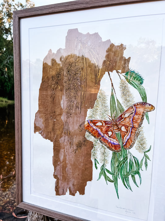 ‘Natural Transformations’ on Australian Paperbark