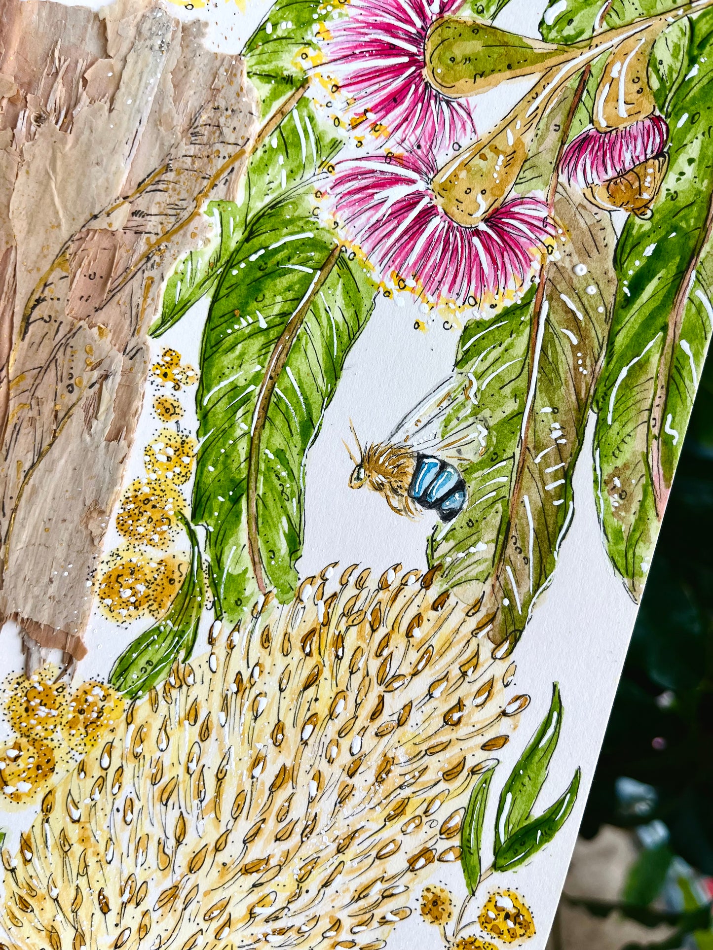 Amongst the leaves on Australian paperbark