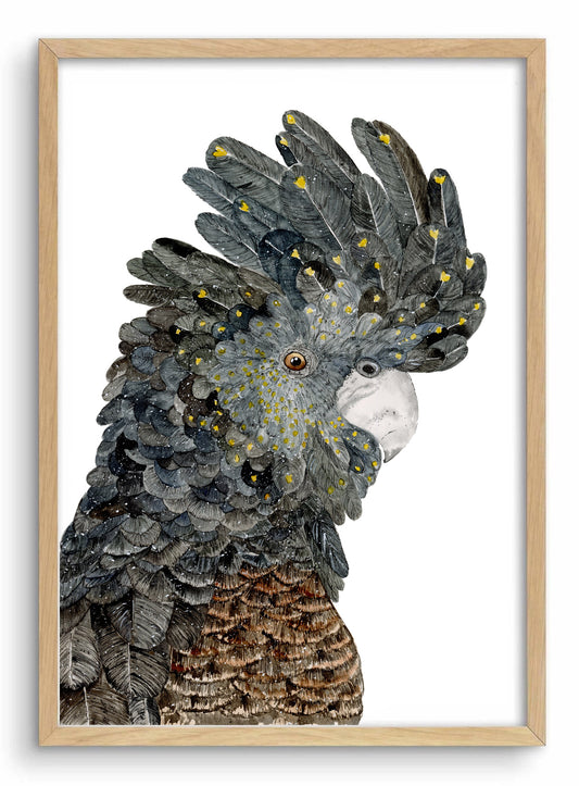 Black Cockatoo | Watercolour Art Print