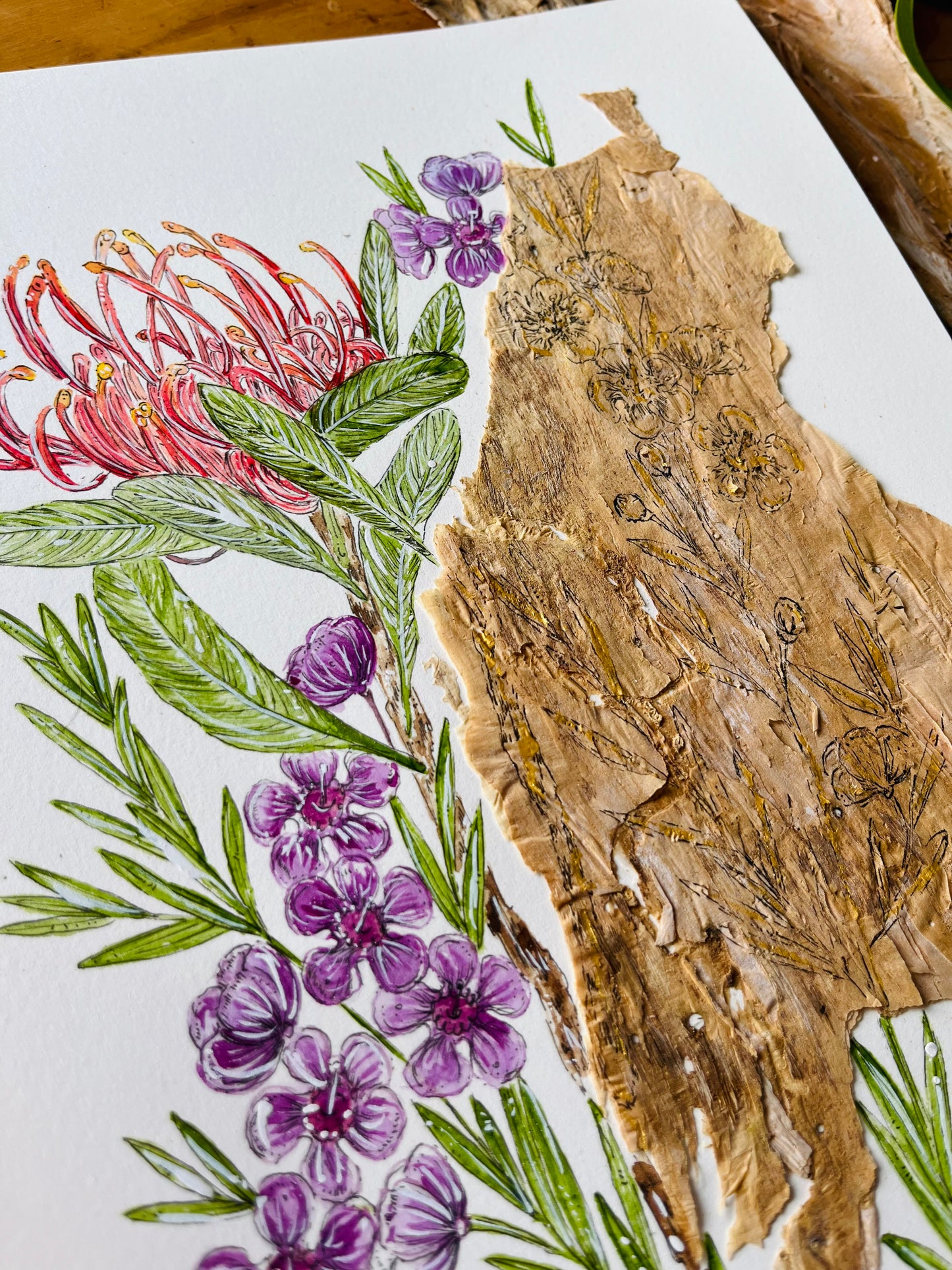 Geraldton Wax & QLD Waratah on Australian Paperbark