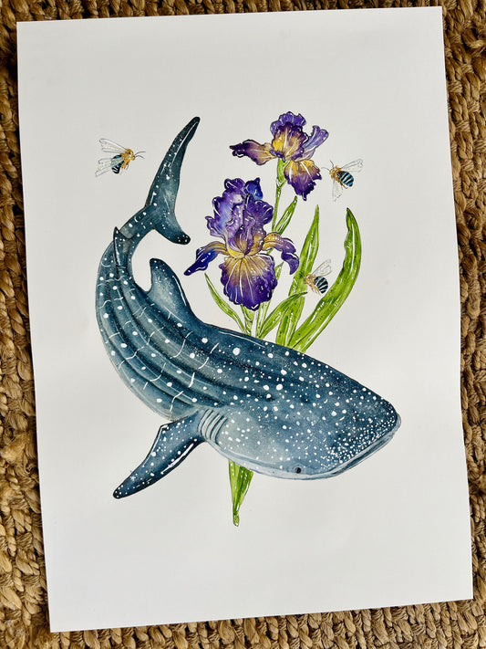 'Depths of Wisdom' Whaleshark & Iris | Original Watercolour Artwork