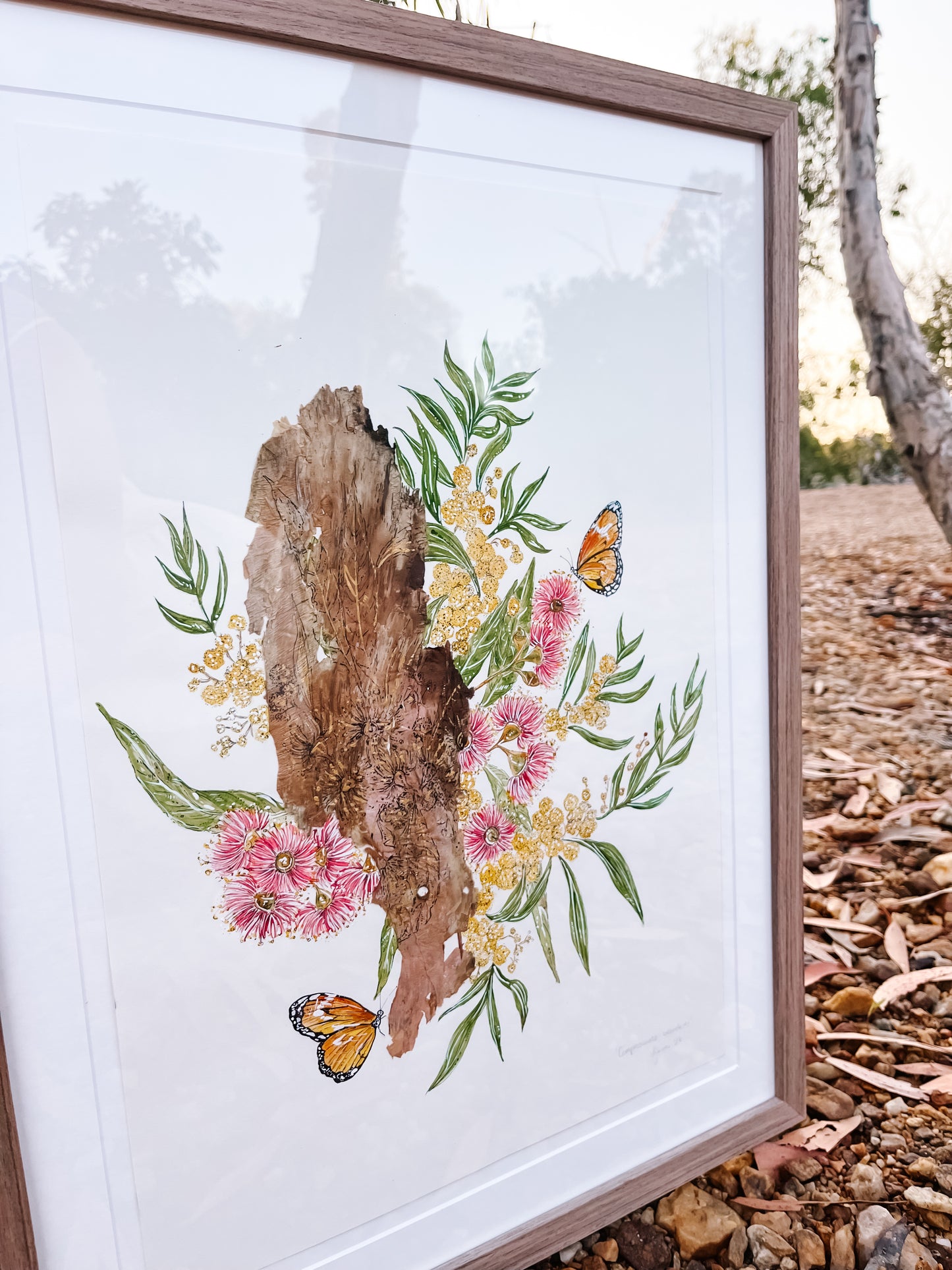 ‘Compassionate Wanderer’ on Australian Paperbark