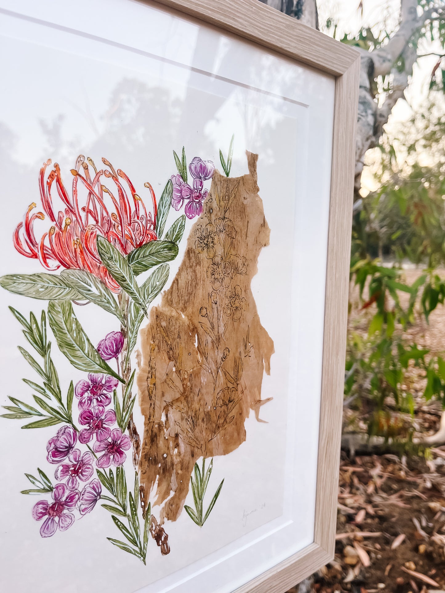 Geraldton Wax & QLD Waratah on Australian Paperbark