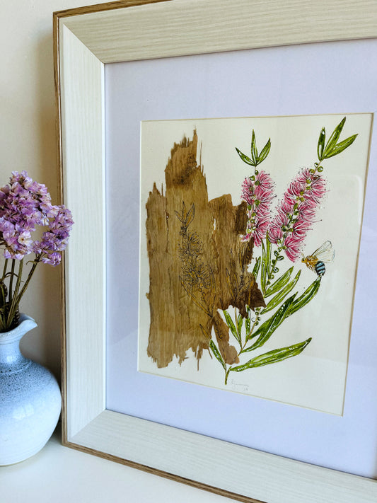 Pink Bottlebrush & Blue Banded Bee on Australian Paperbark