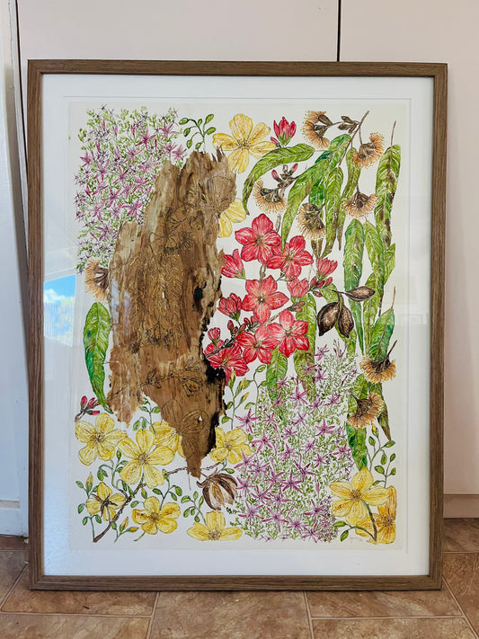 ‘Dry Season Blooms’ | Original Watercolour & Paperbark Artwork