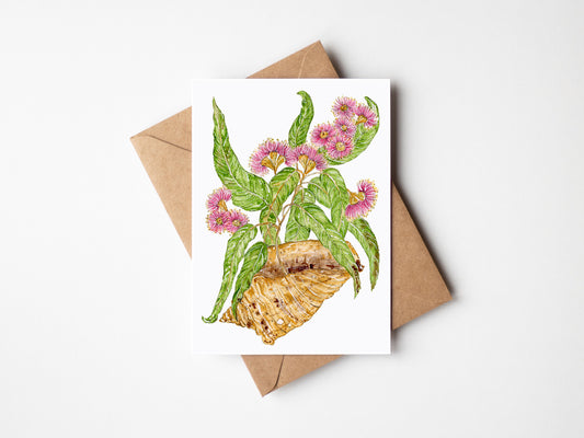 Flowering Gums and Shell Greeting Card