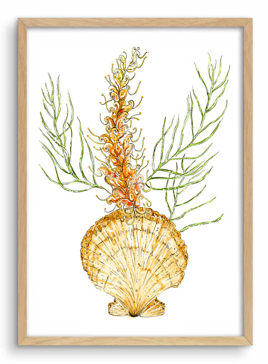 Honey Grevillea & Scallop Vase