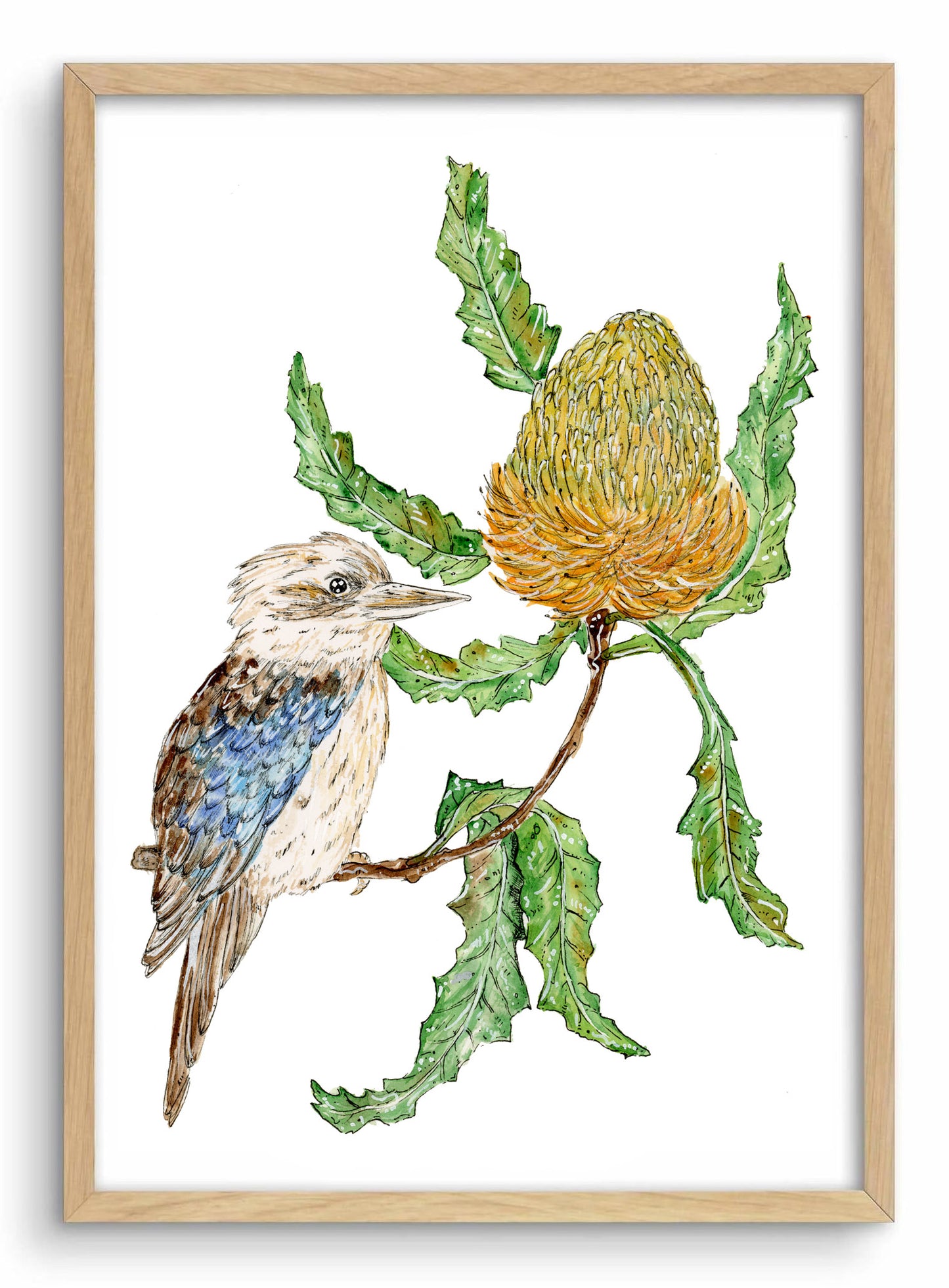 Blue Winged Kookaburra with Banksia