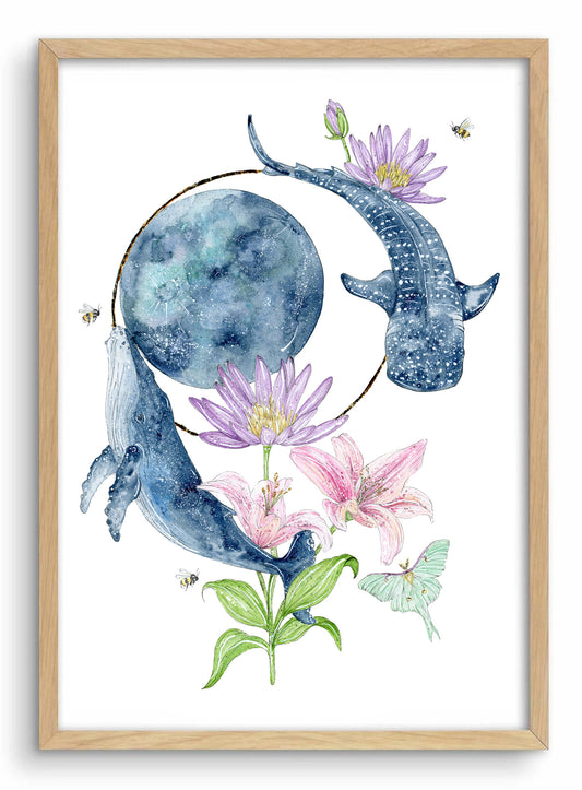 Luna Dreaming | Limited Edition Art Print