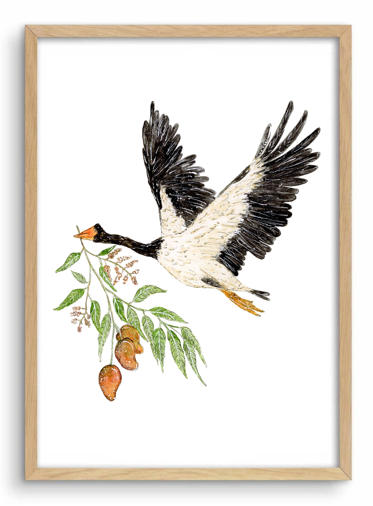 Magpie Goose & Mango Branch